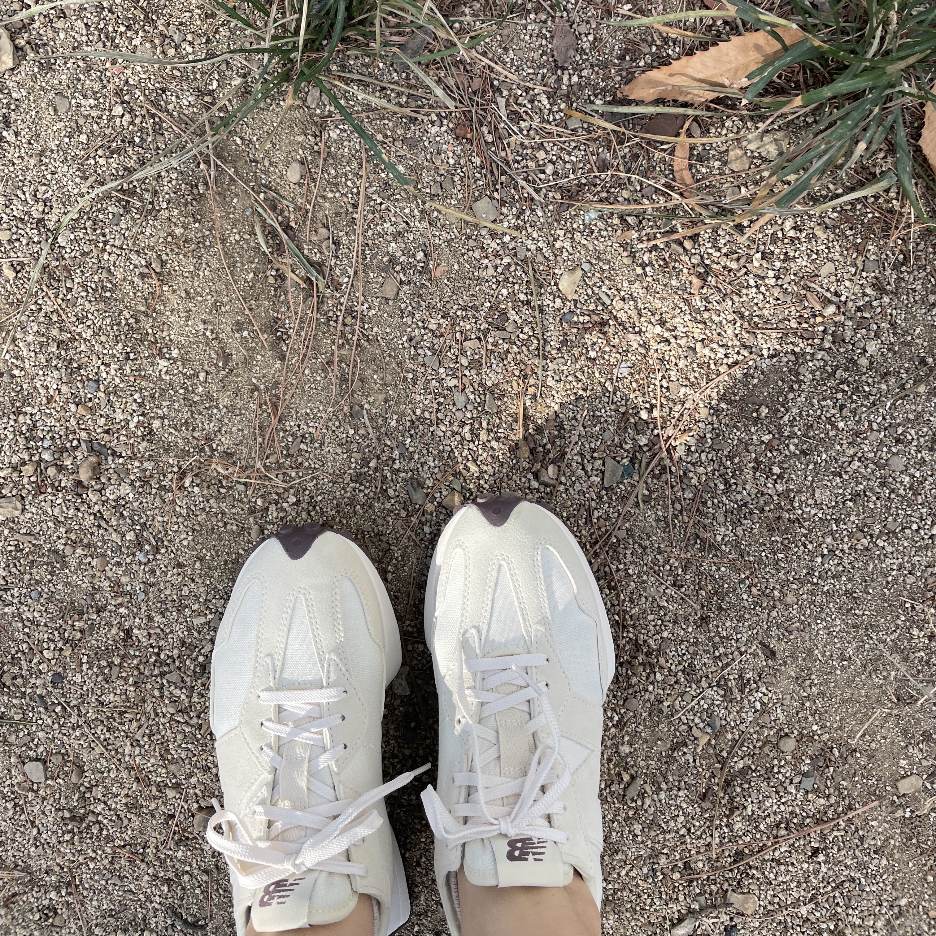 (W) New Balance 327 Angora 착용 스타일
