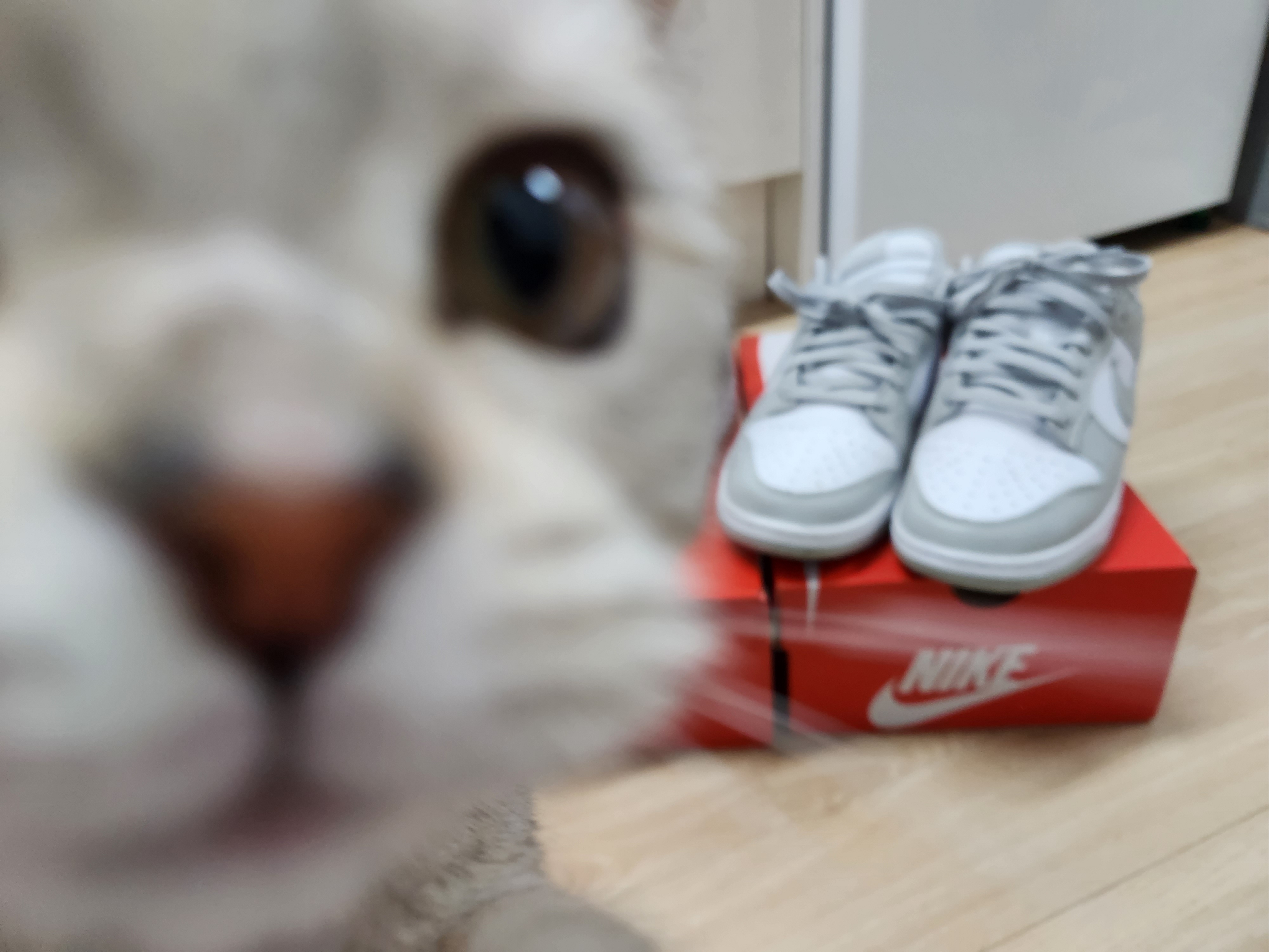 Nike Dunk Low Retro Grey Fog 착용 스타일 - 2