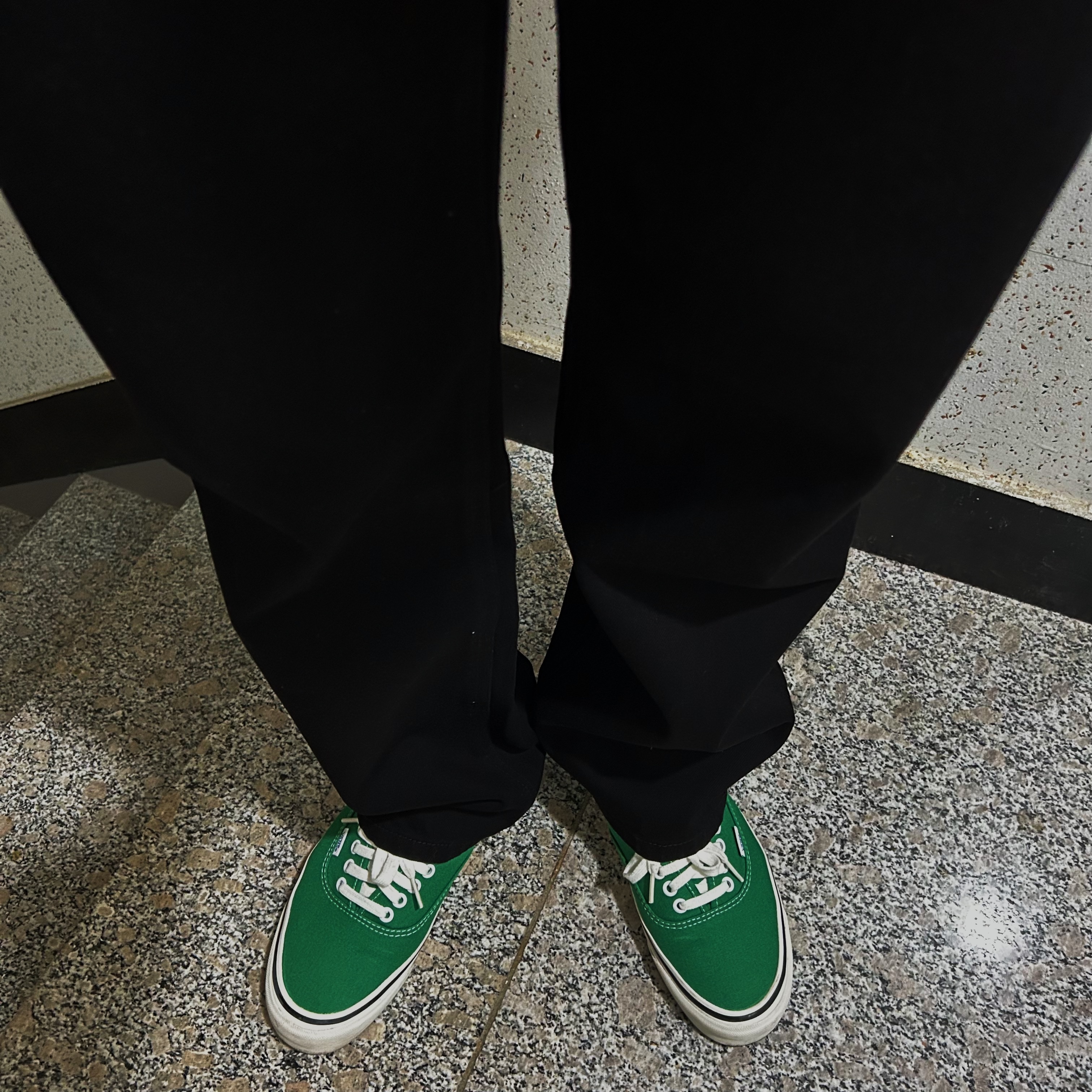 Vans Authentic 44 DX Anaheim Factory Emerald Green 착용 스타일