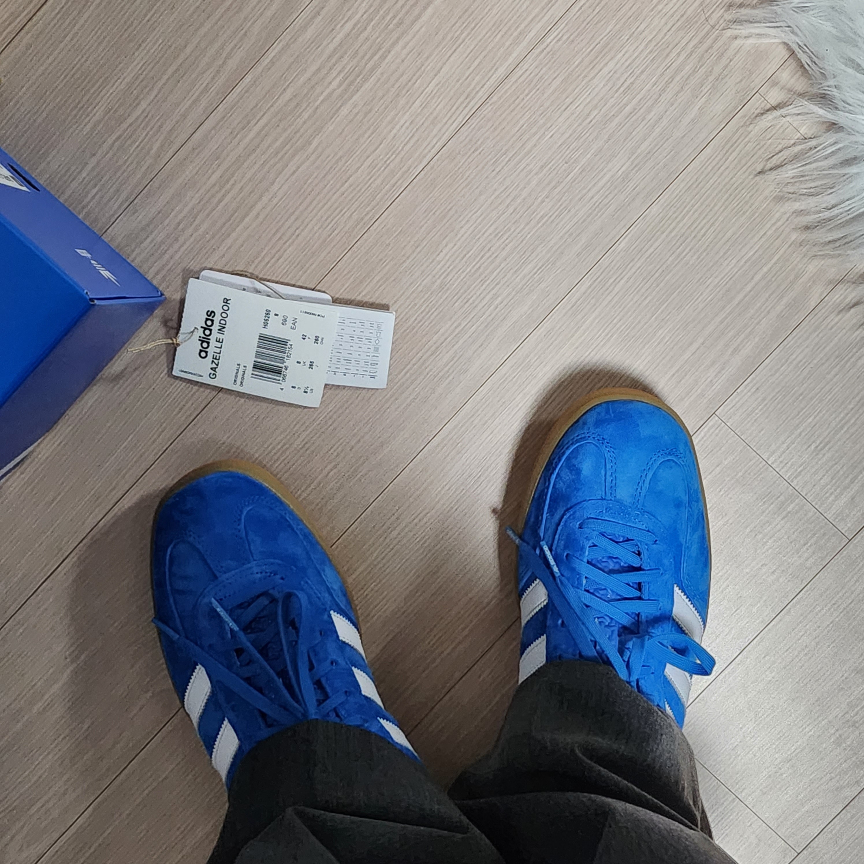 Adidas Gazelle Indoor Blue Bird 착용 스타일 - 2