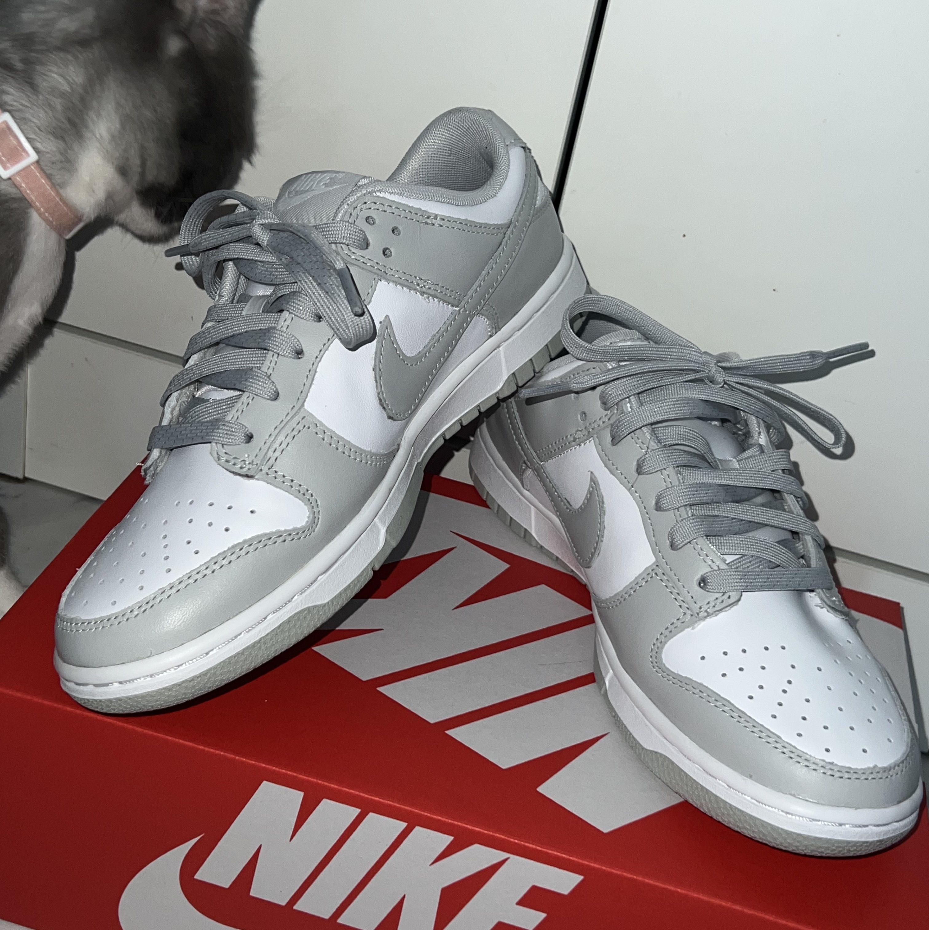 Nike Dunk Low Retro Grey Fog 착용 스타일