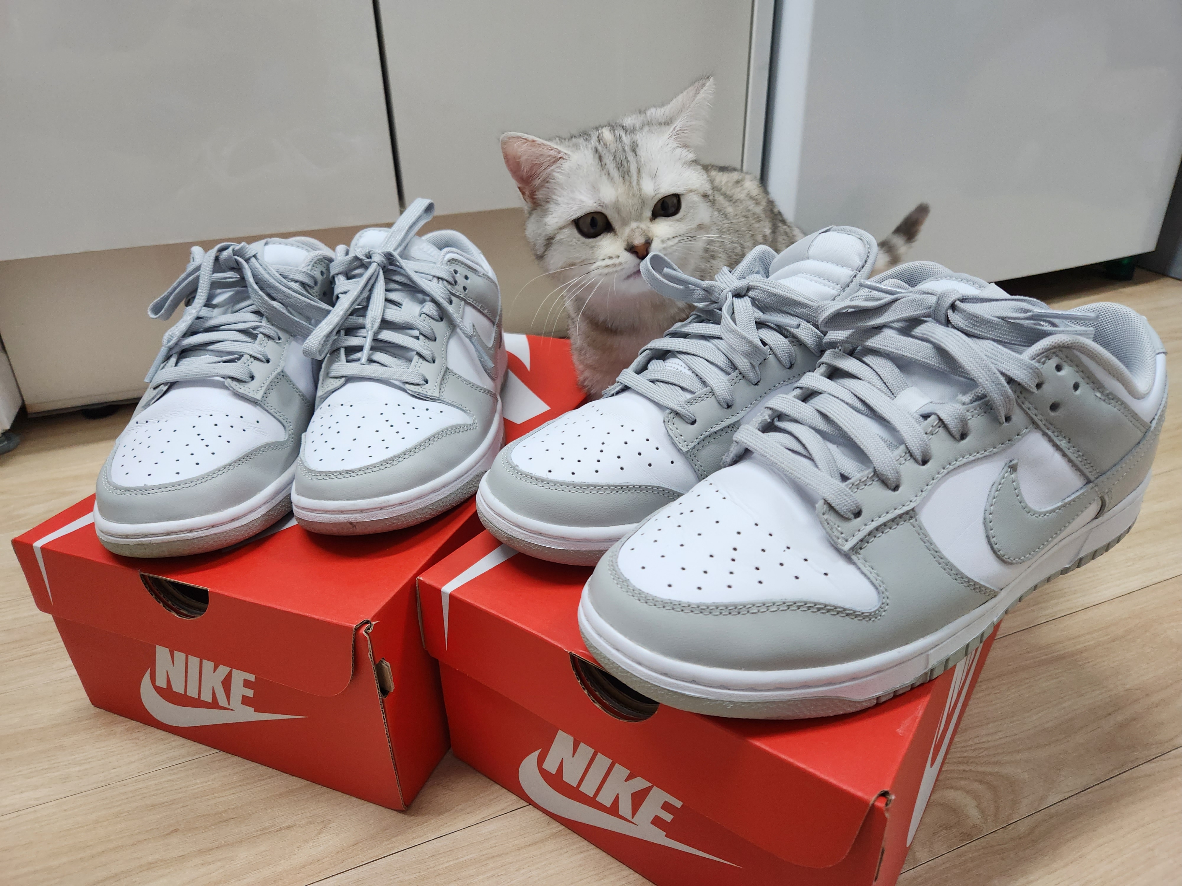 Nike Dunk Low Retro Grey Fog 착용 스타일 - 1