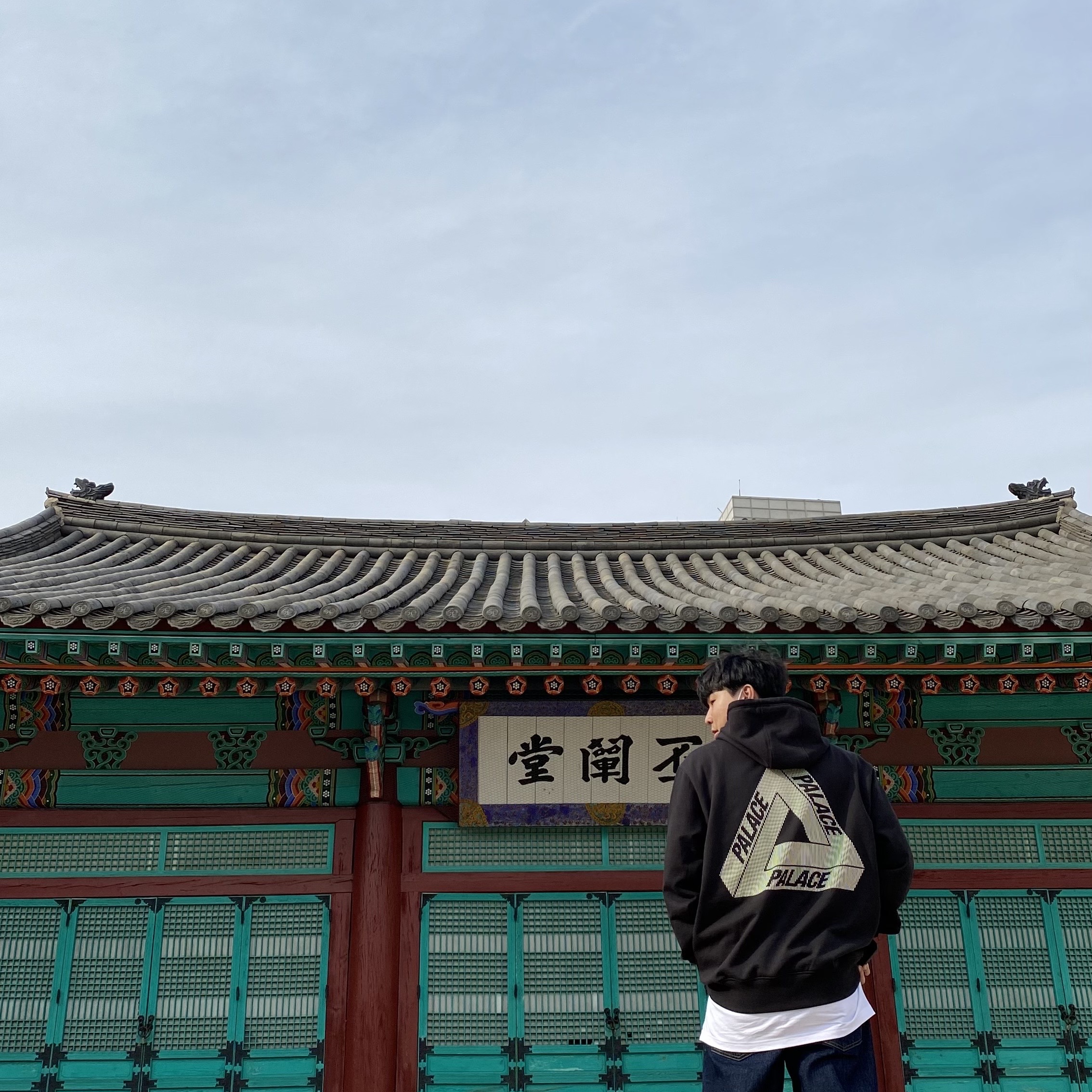 Palace Tri-Lenticular Hood Black - 22FW 착용 스타일