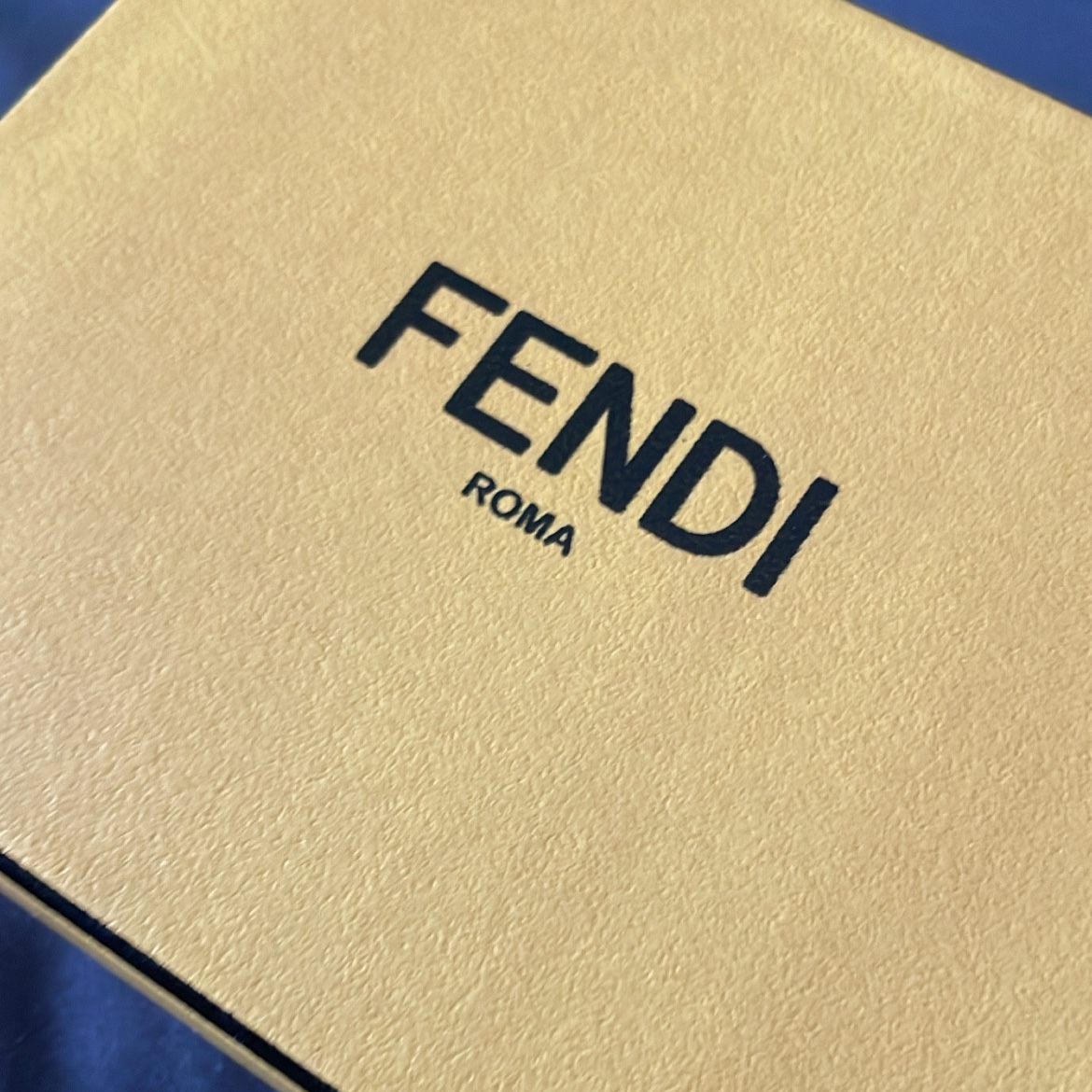 Fendi FF Motif Fabric Card Holder Brown 착용 스타일 - 2
