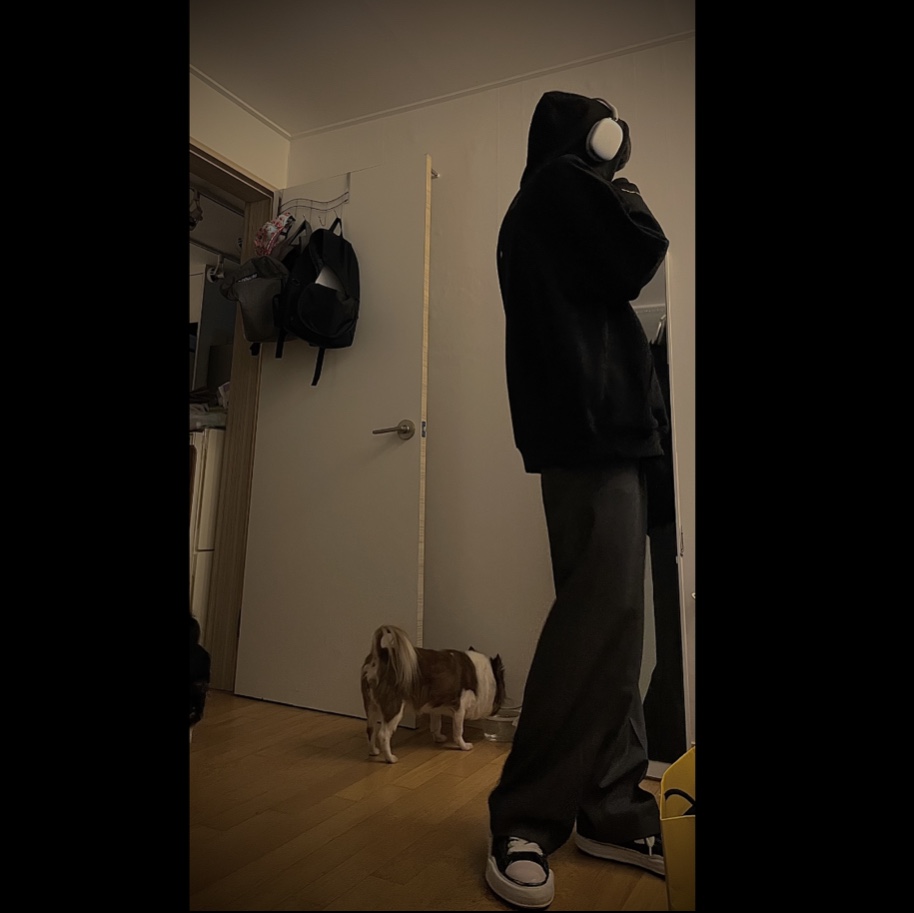 Maison Mihara Yasuhiro Peterson OG Sole Canvas Low Sneakers Black, Apple AirPods Max Lightning Silver (Korean Ver.) 착용 스타일