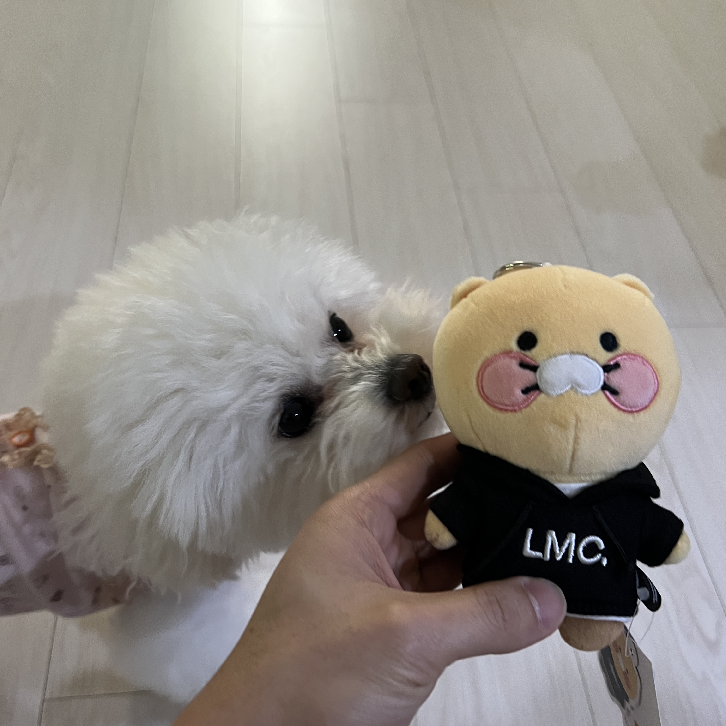 Kakao x LMC Choonsik Keyring Black 착용 스타일