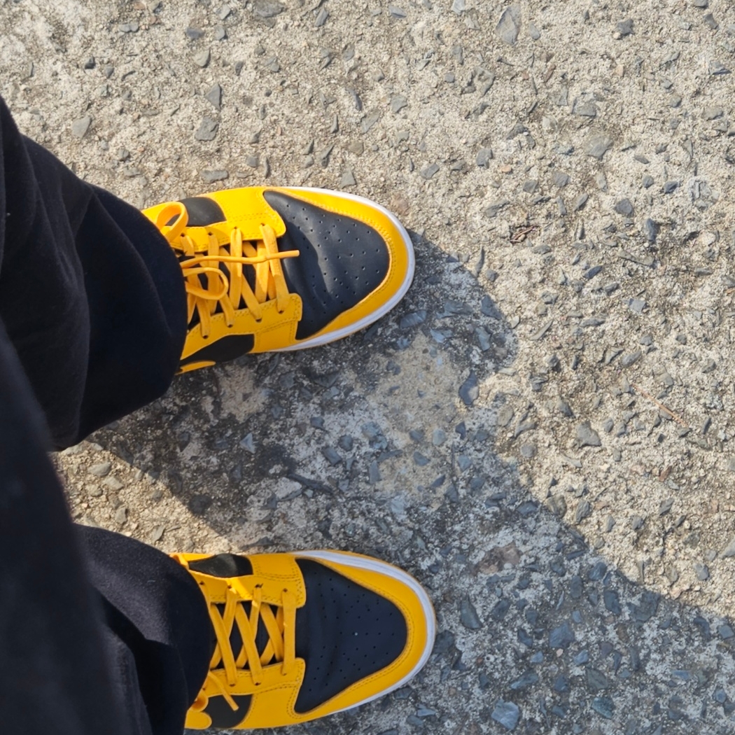Nike Dunk Low Retro Championship Goldenrod 착용 스타일