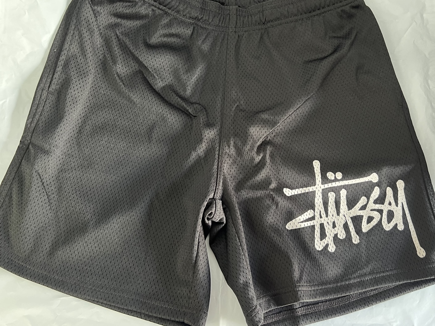 Stussy Big Basic Mesh Shorts Black White 착용 스타일 - 1