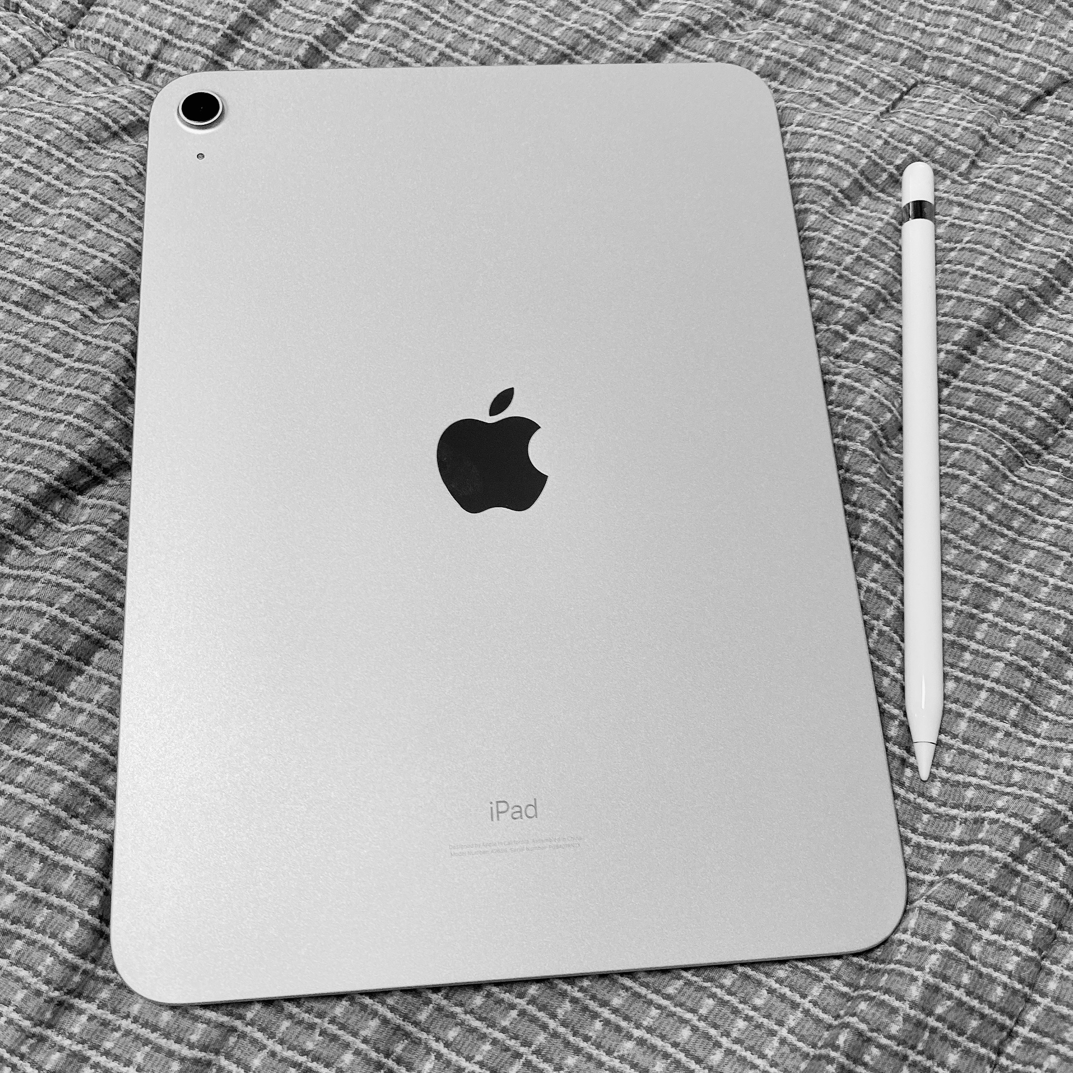 Apple iPad 10th Gen Wifi 64GB Silver (Korean Ver.), Apple Apple Pencil 1st Gen (Korean Ver.) 착용 스타일 - 1