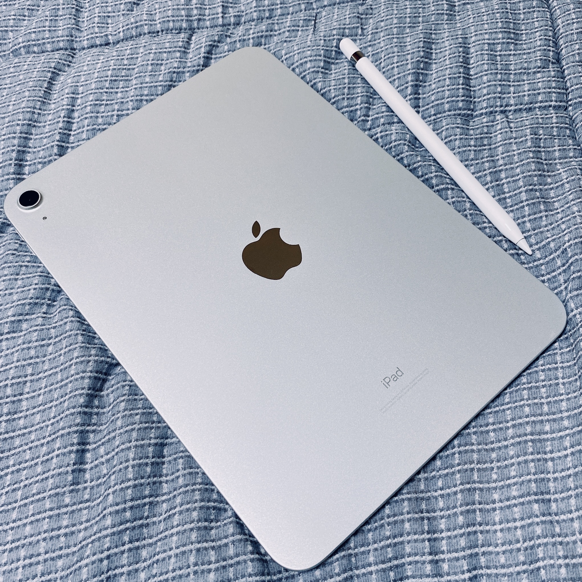 Apple iPad 10th Gen Wifi 64GB Silver (Korean Ver.), Apple Apple Pencil 1st Gen (Korean Ver.) 착용 스타일 - 2
