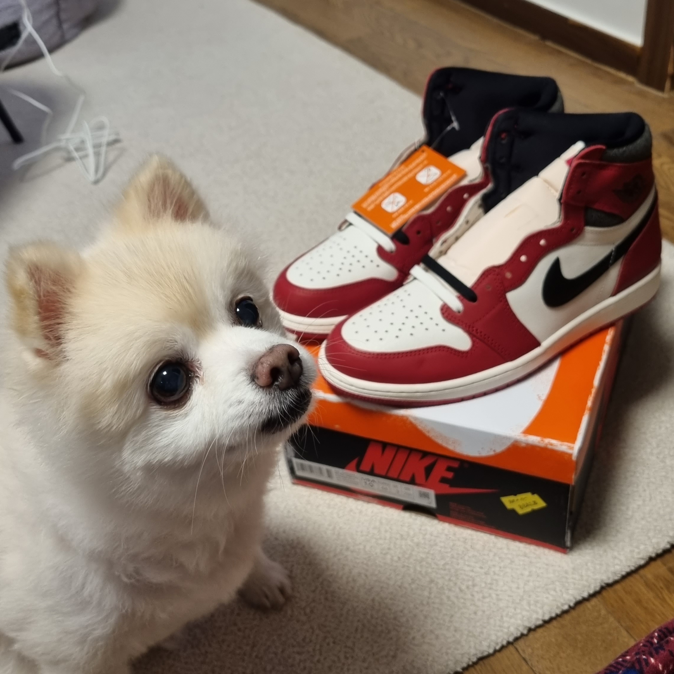 Jordan 1 Retro High OG Chicago 2022 착용 스타일