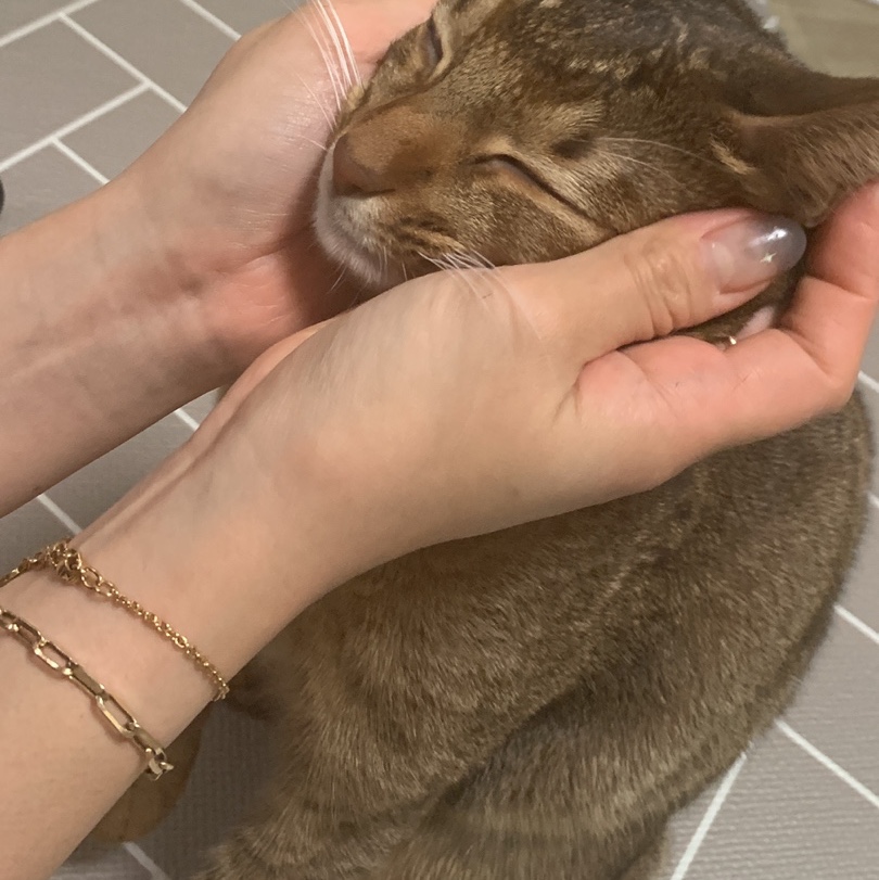 (W) Louis Vuitton LV Iconic Bracelet Gold 착용 스타일