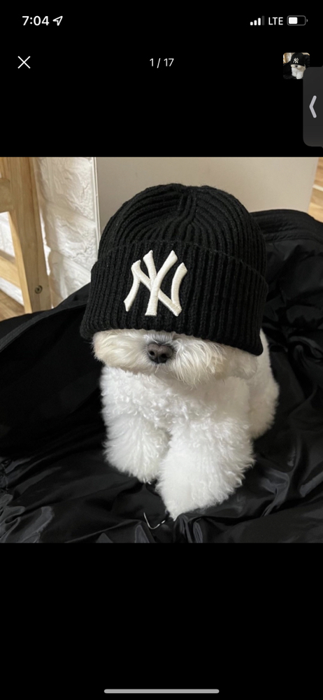 KREAM 프로필 이미지