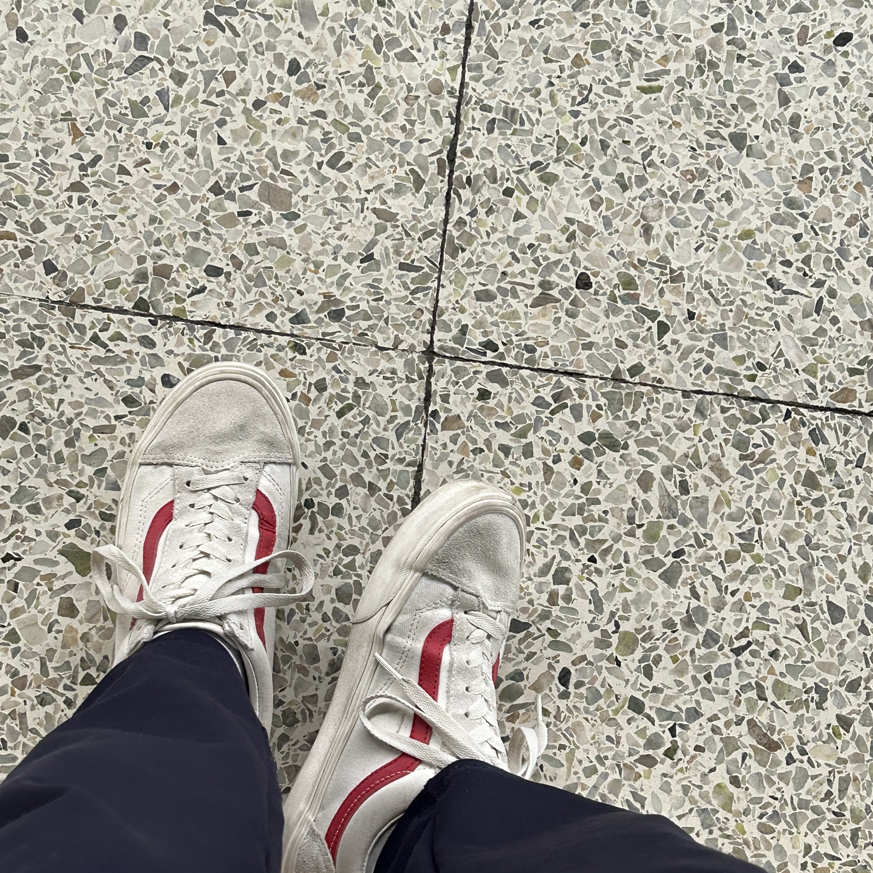 Vans Style 36 Marshmallow Racing Red 착용 스타일 - 2