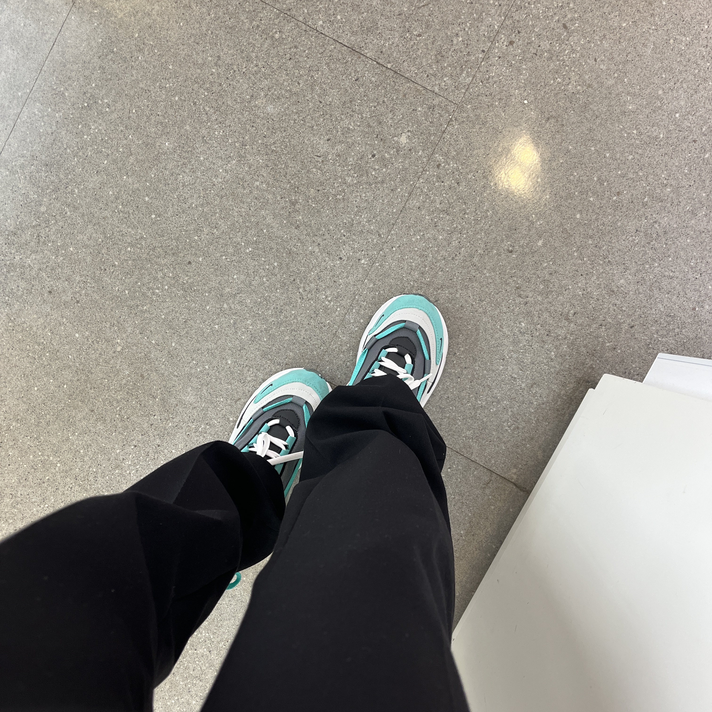 (W) Nike Air Max Furyosa Photon Dust 착용 스타일 - 3