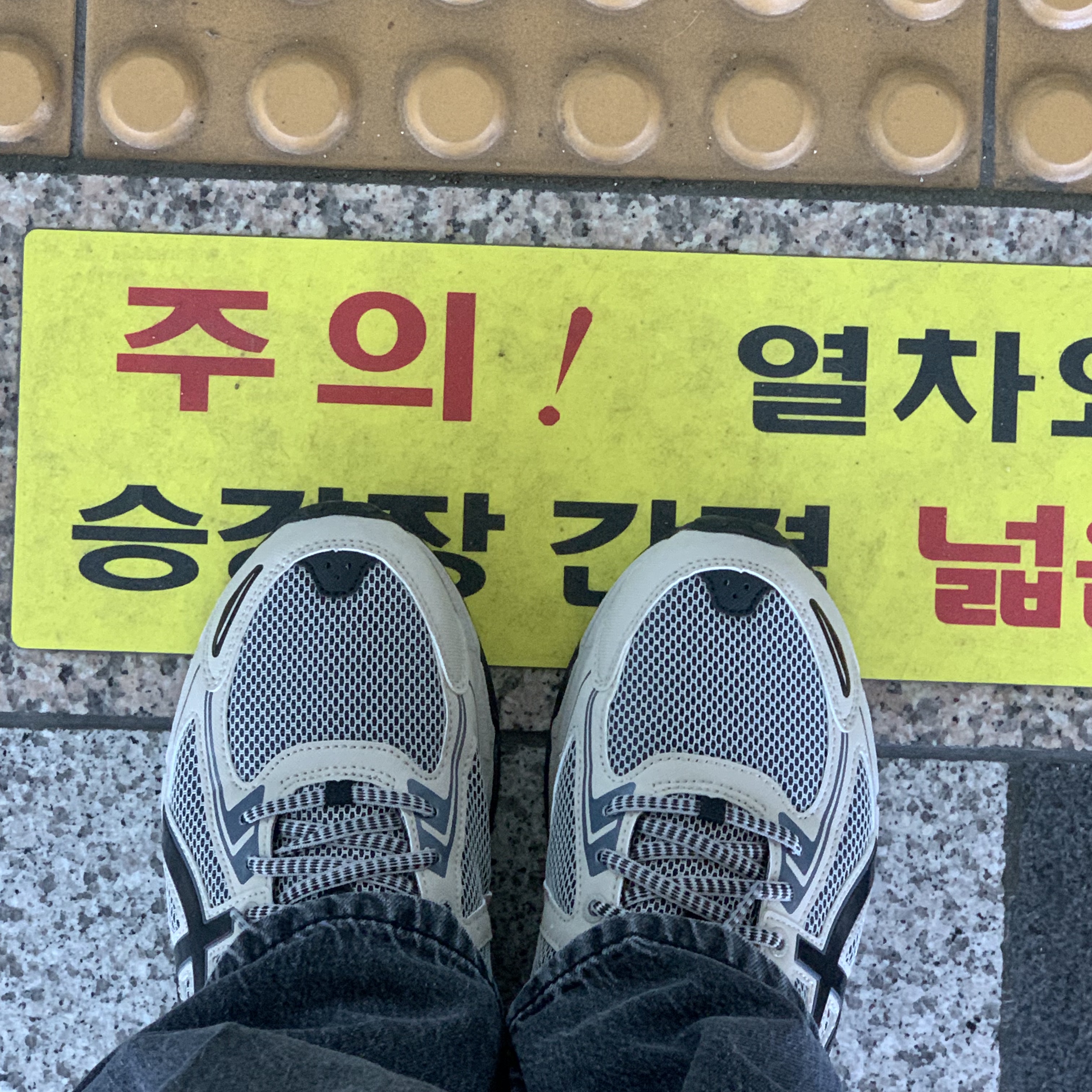Asics Gel-Venture 6 Feather Grey Black 착용 스타일