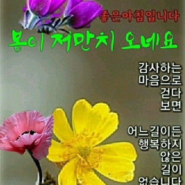 jonggil3101님의 스타일
