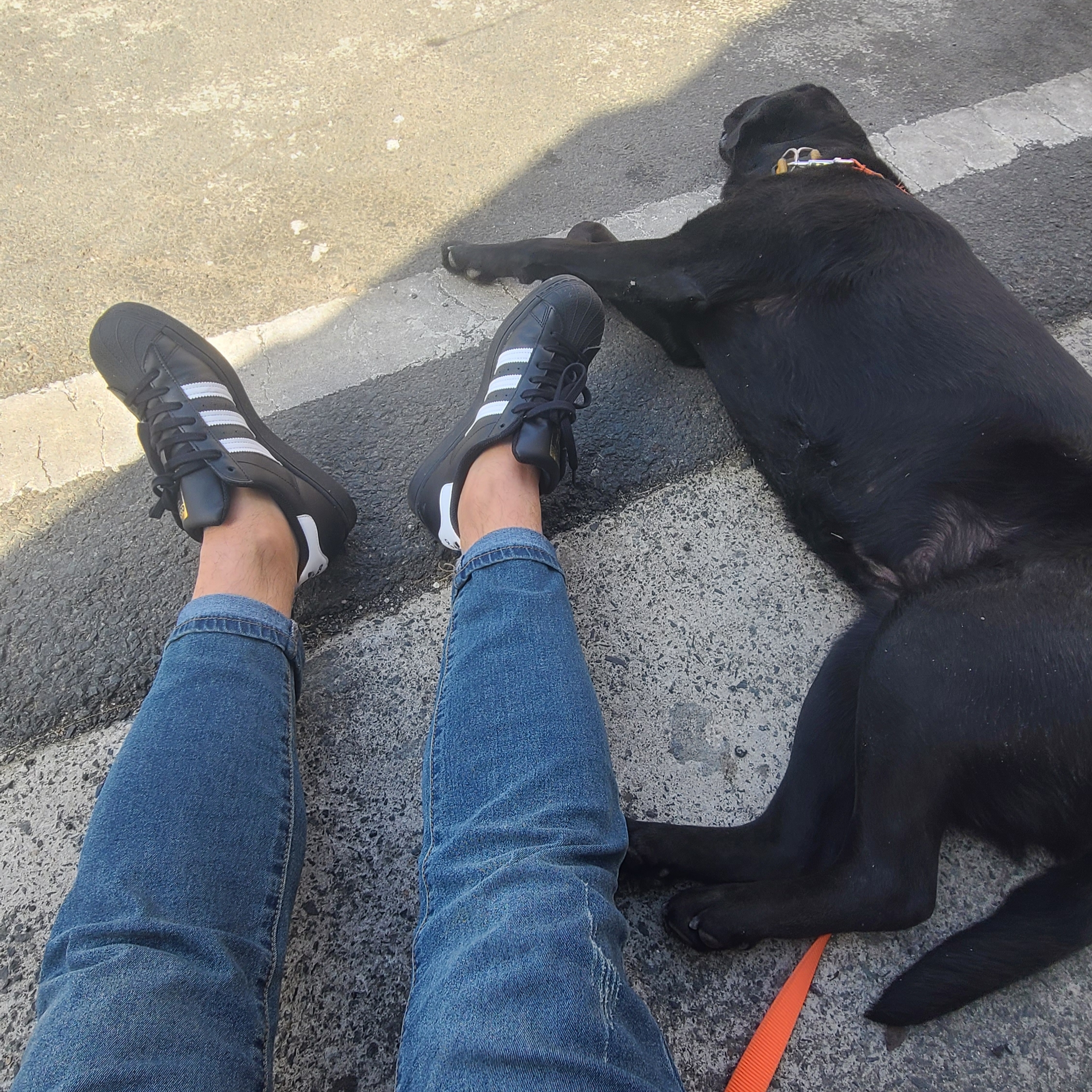 Adidas Superstar Core Black White 착용 스타일 - 1