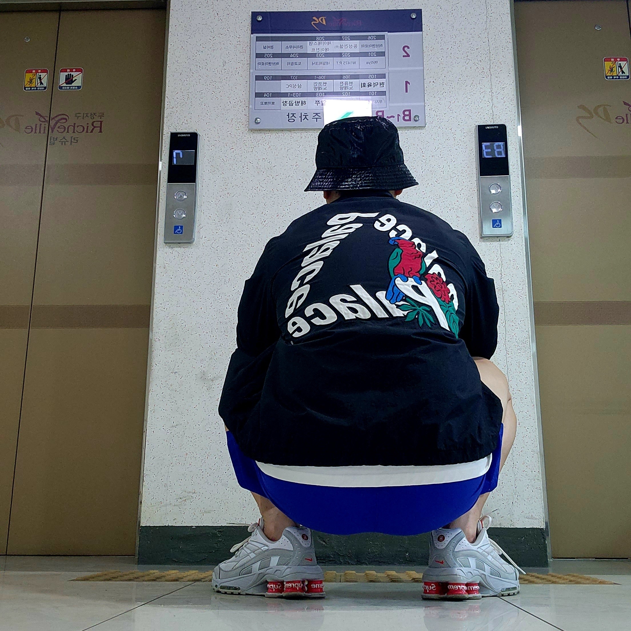 Palace Parrot Palace-3 Coach Jacket Navy - 20FW, Nike x Supreme Shox Ride 2 SP White 착용 스타일 - 1