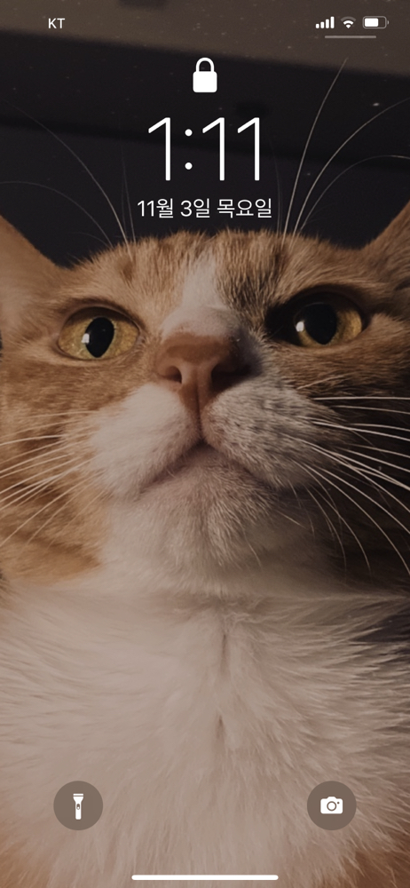 관심 유저 프로필 이미지