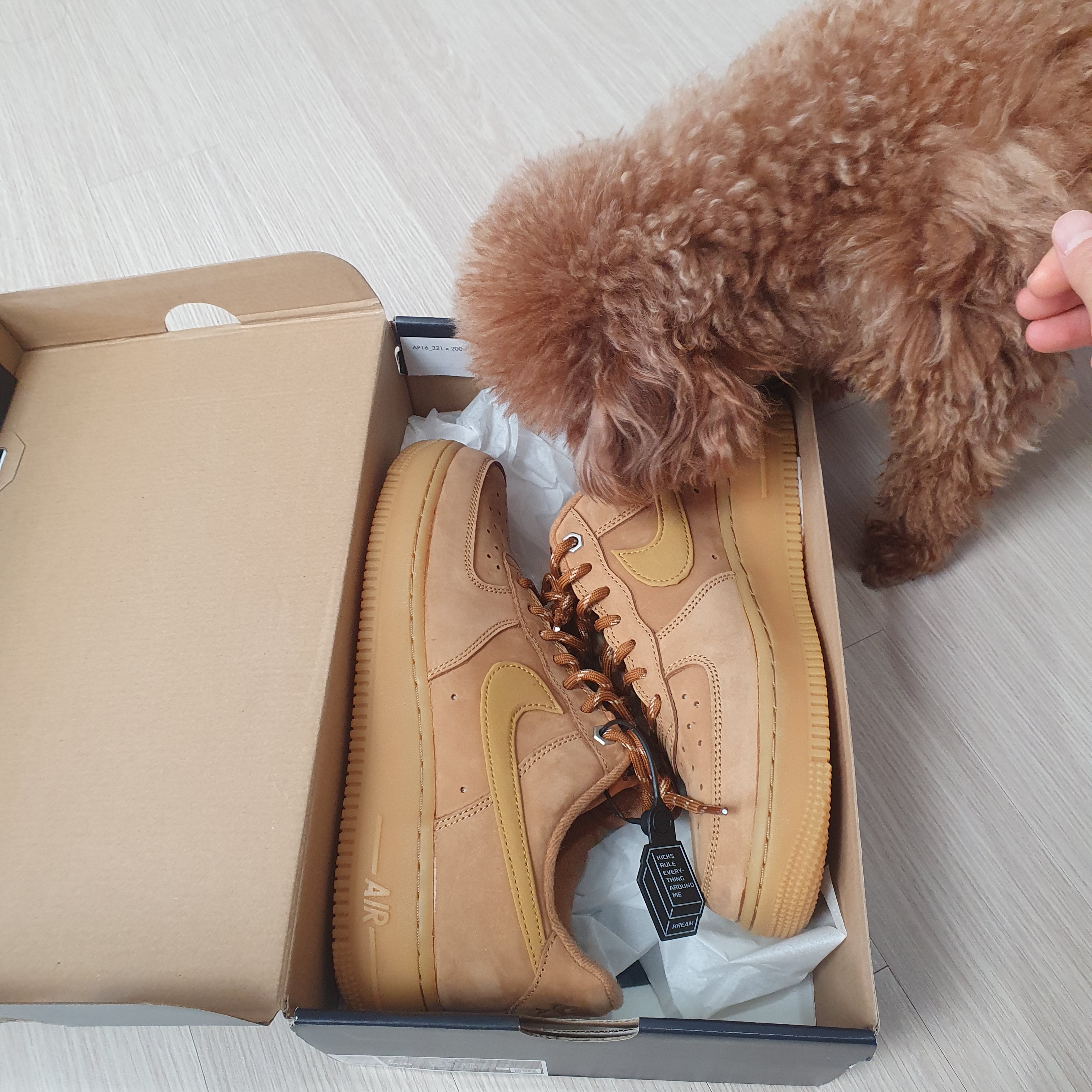 Nike Air Force 1 '07 WB Flax 착용 스타일 - 4