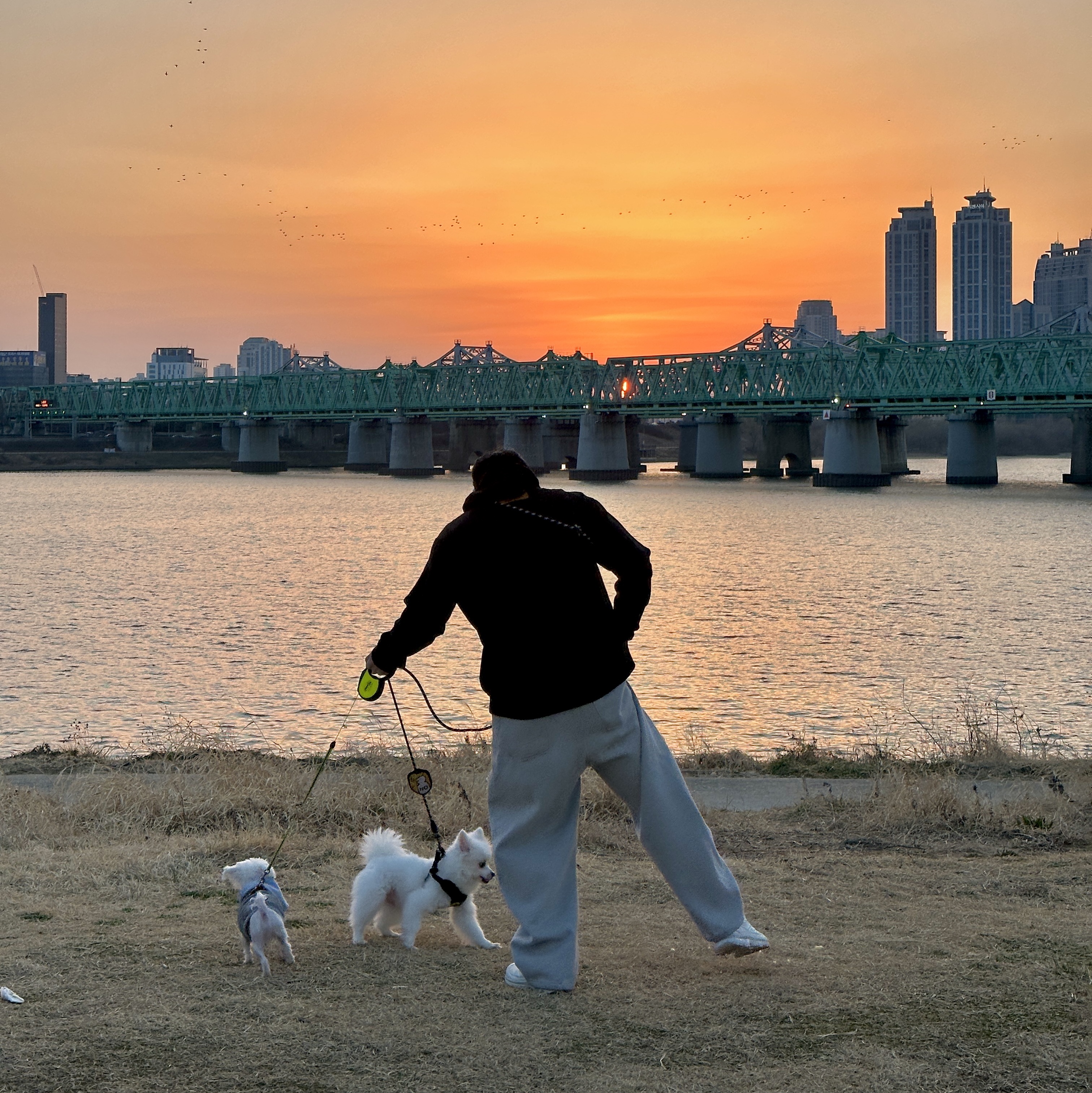 캠핑 위드님의 스타일 - 2