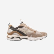 Mizuno Wave Rider 10 Silver Cloud Snow White Tiger's Eye