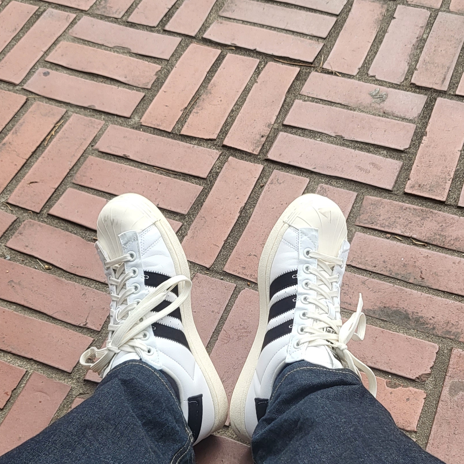 Adidas x Parley Superstar White 착용 스타일