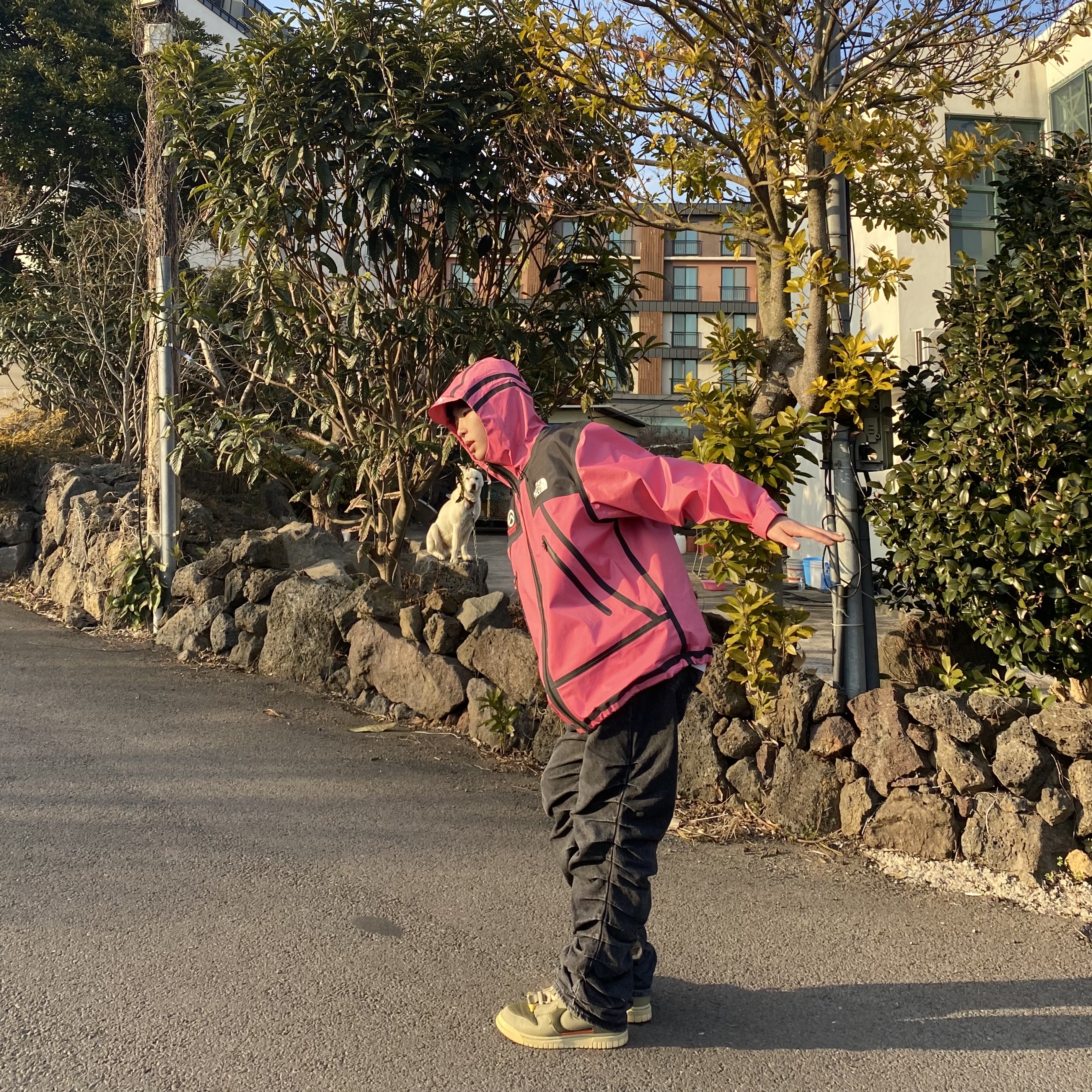 Supreme x The North Face Summit Series Outer Tape Seam Jacket Pink - 21SS, Nike Air Dunk Jumbo Medium Olive 착용 스타일 - 1
