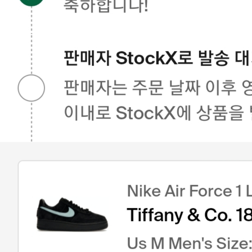 Nike x Tiffany & Co. Air Force 1 Low SP 1837 착용 스타일