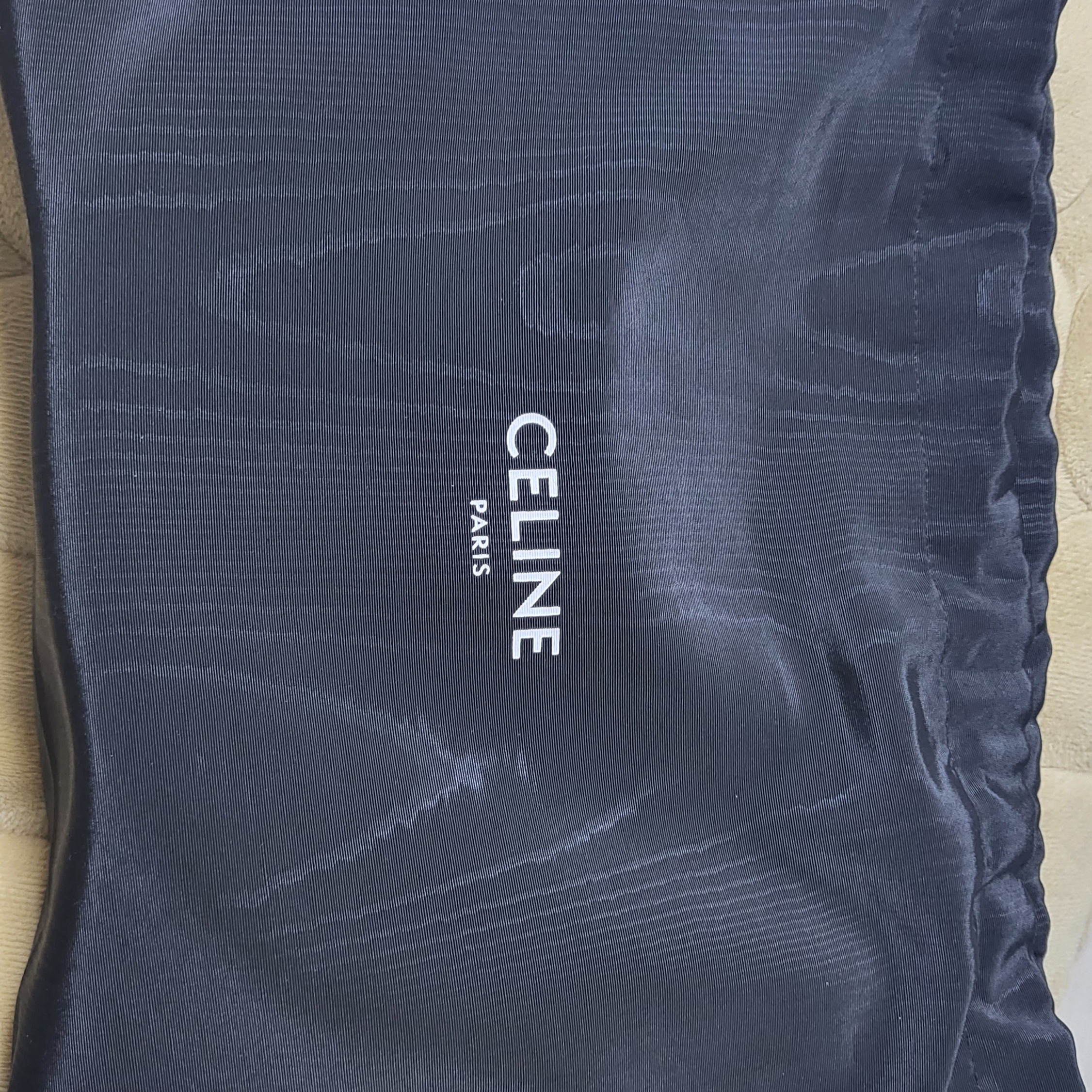 Celine Ava Bag in Triomphe Canvas and Calfskin Tan 착용 스타일 - 2