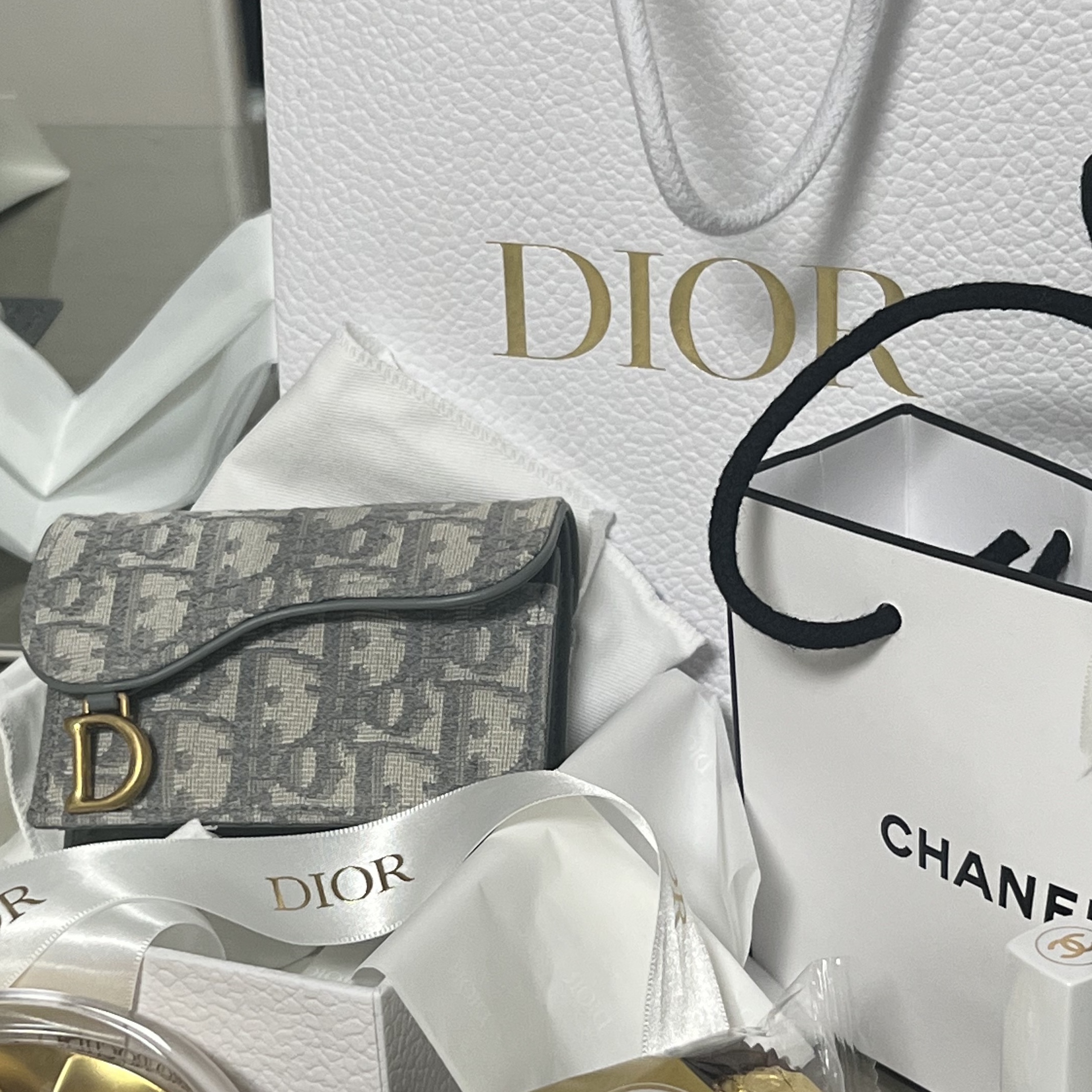 Dior Saddle Flap Card Holder Grey Dior Oblique Jacquard 착용 스타일