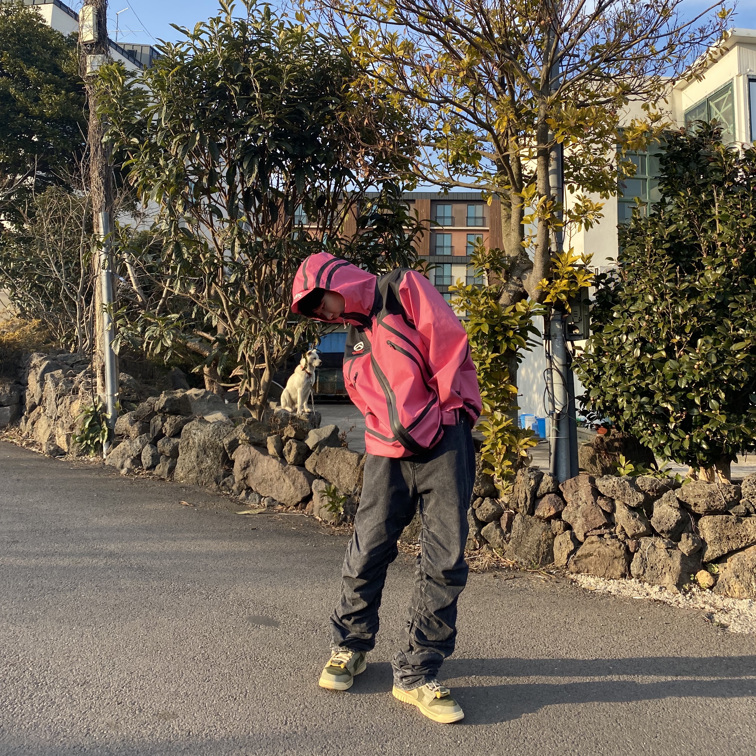 Supreme x The North Face Summit Series Outer Tape Seam Jacket Pink - 21SS, Nike Air Dunk Jumbo Medium Olive 착용 스타일 - 2
