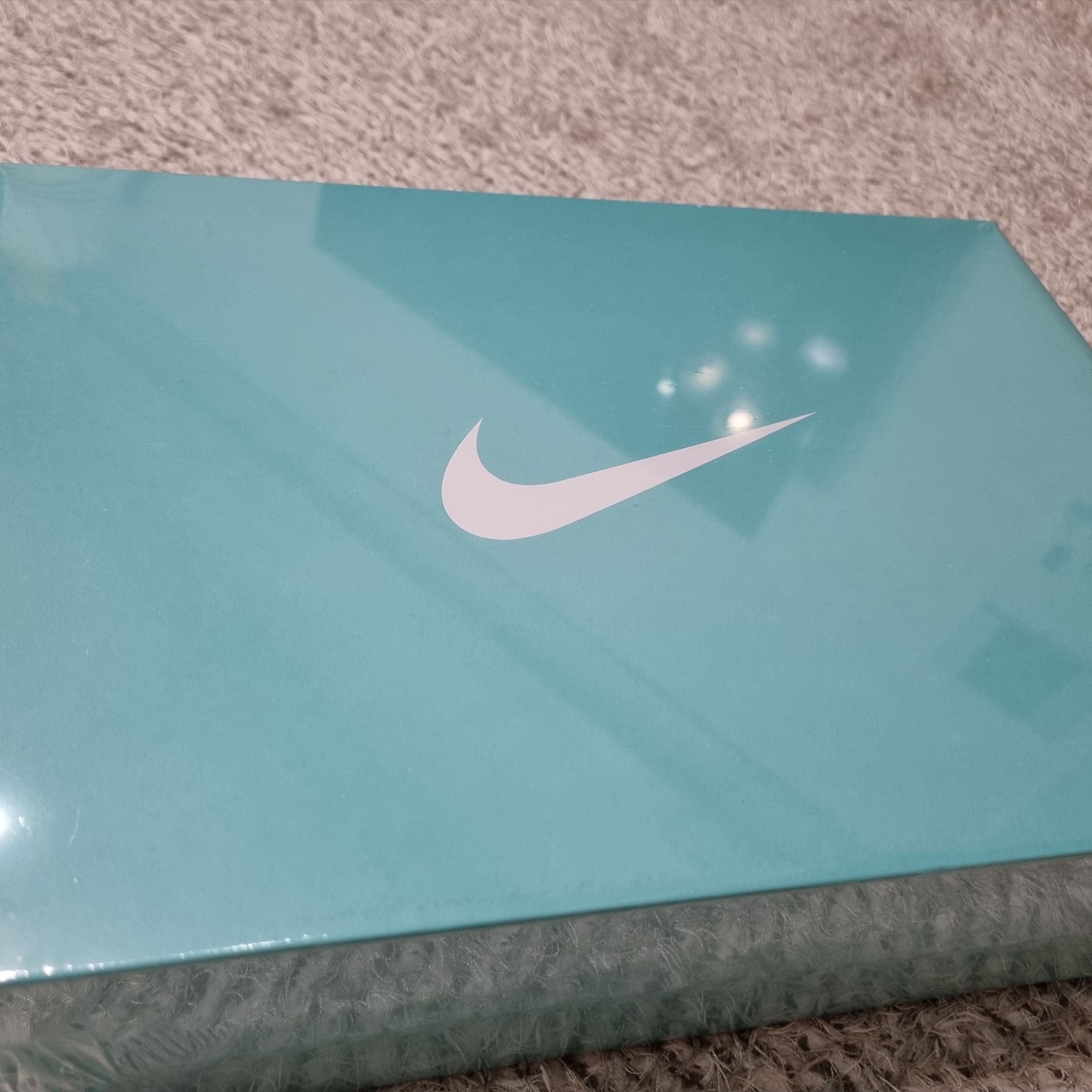Nike x Tiffany & Co. Air Force 1 Low SP 1837 착용 스타일