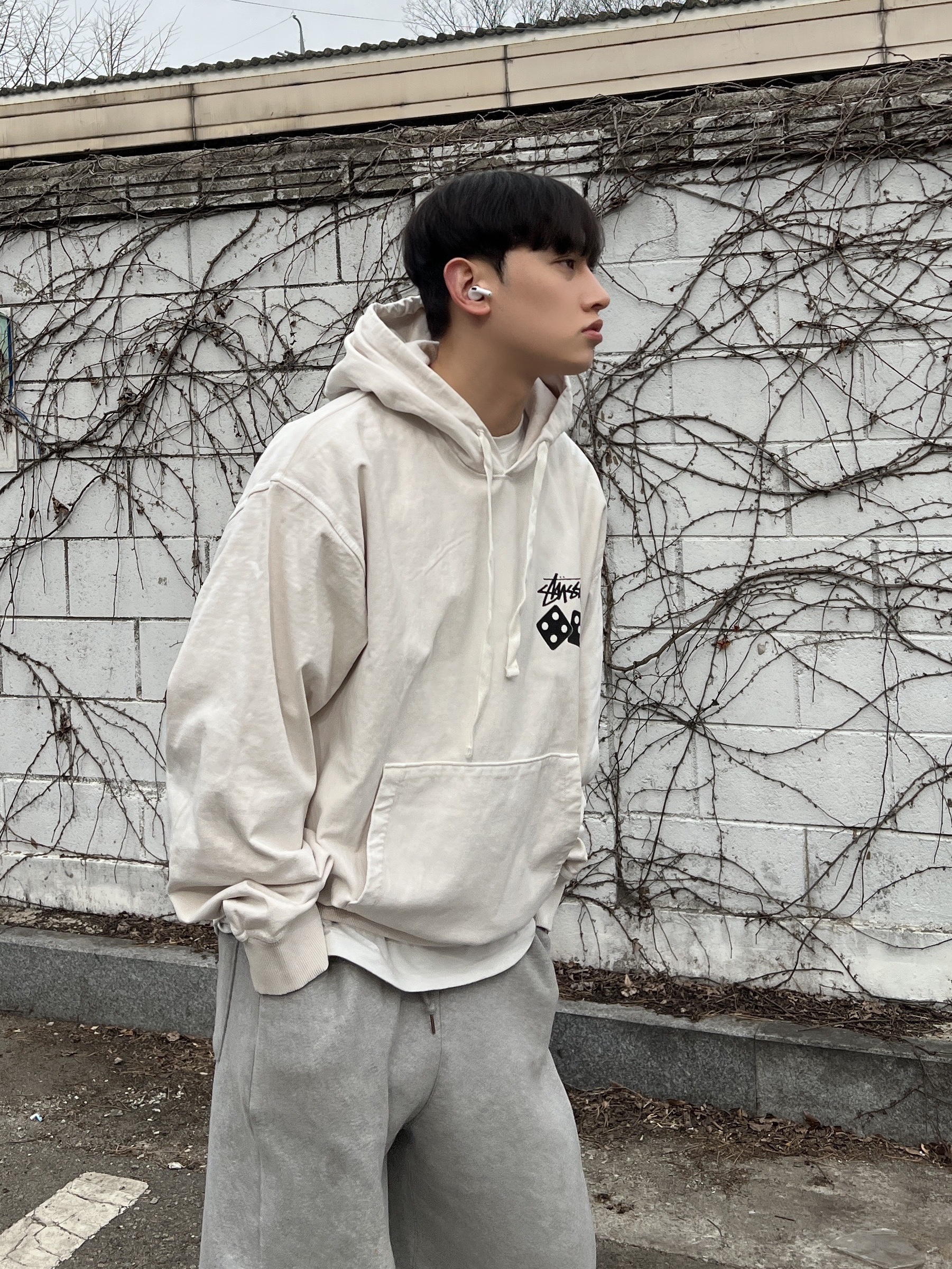 Stussy Dice Pigment Dyed Hoodie Natural 착용 스타일 - 4