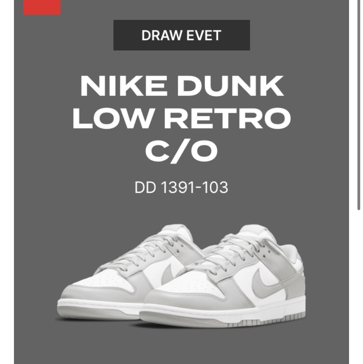 Nike Dunk Low Retro Grey Fog 착용 스타일