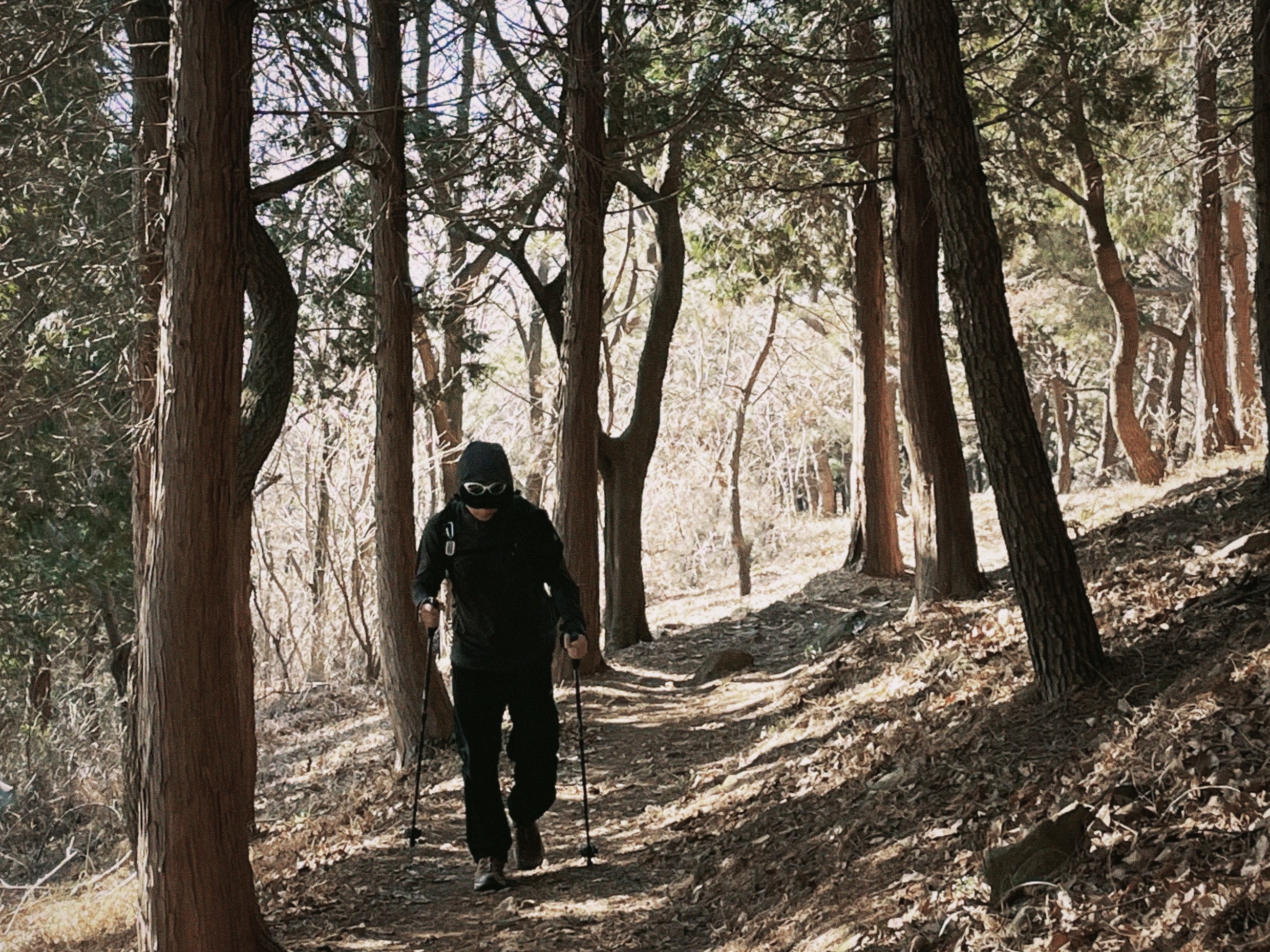Oakley Eye Jacket Redux Matte Black Frame Prizm Grey Lenses High Bridge Fit, Salomon XT-6 Apricot Buff 착용 스타일 - 2