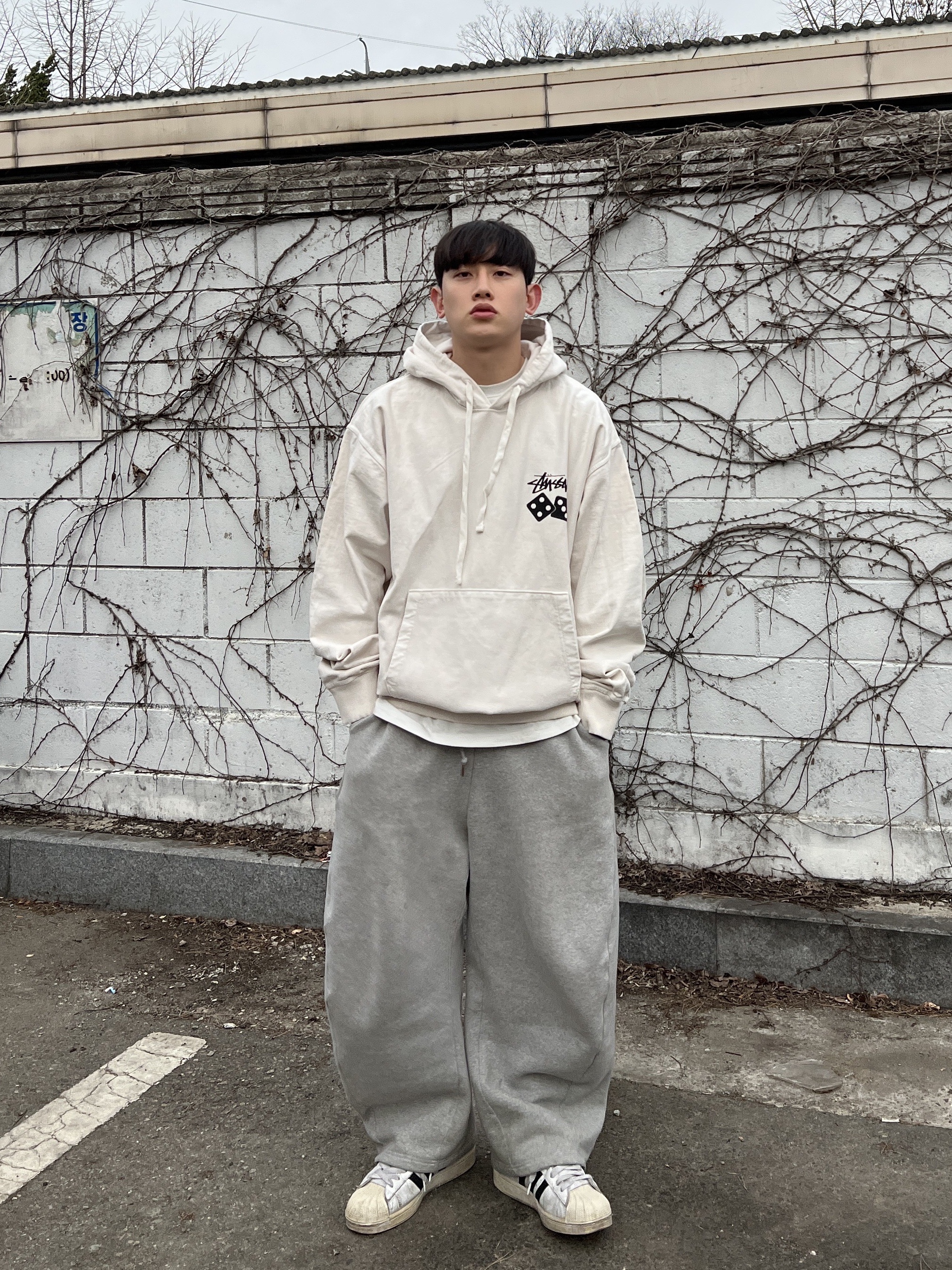 Stussy Dice Pigment Dyed Hoodie Natural 착용 스타일 - 2
