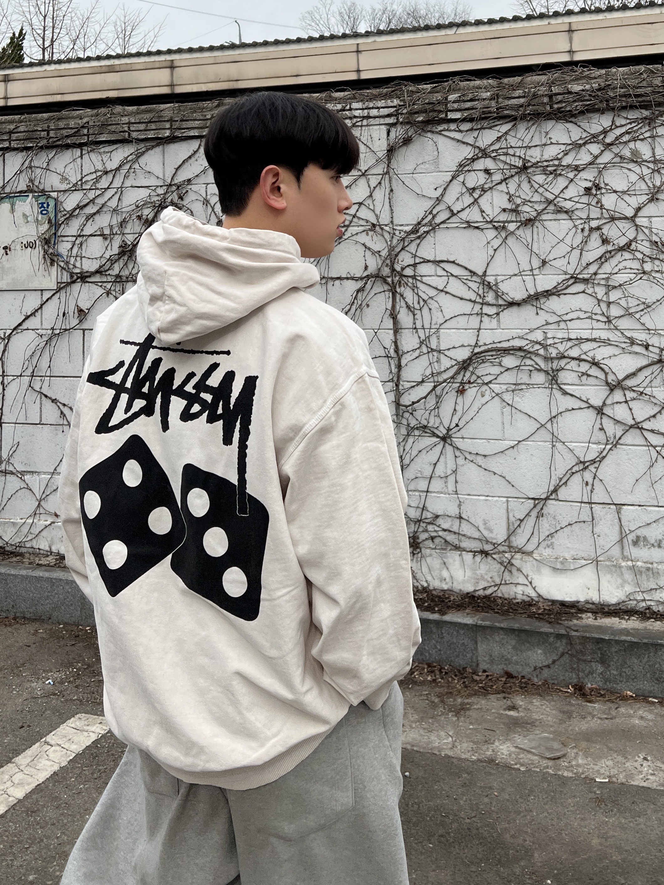 Stussy Dice Pigment Dyed Hoodie Natural 착용 스타일 - 1