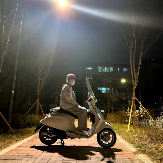 스타일 카드