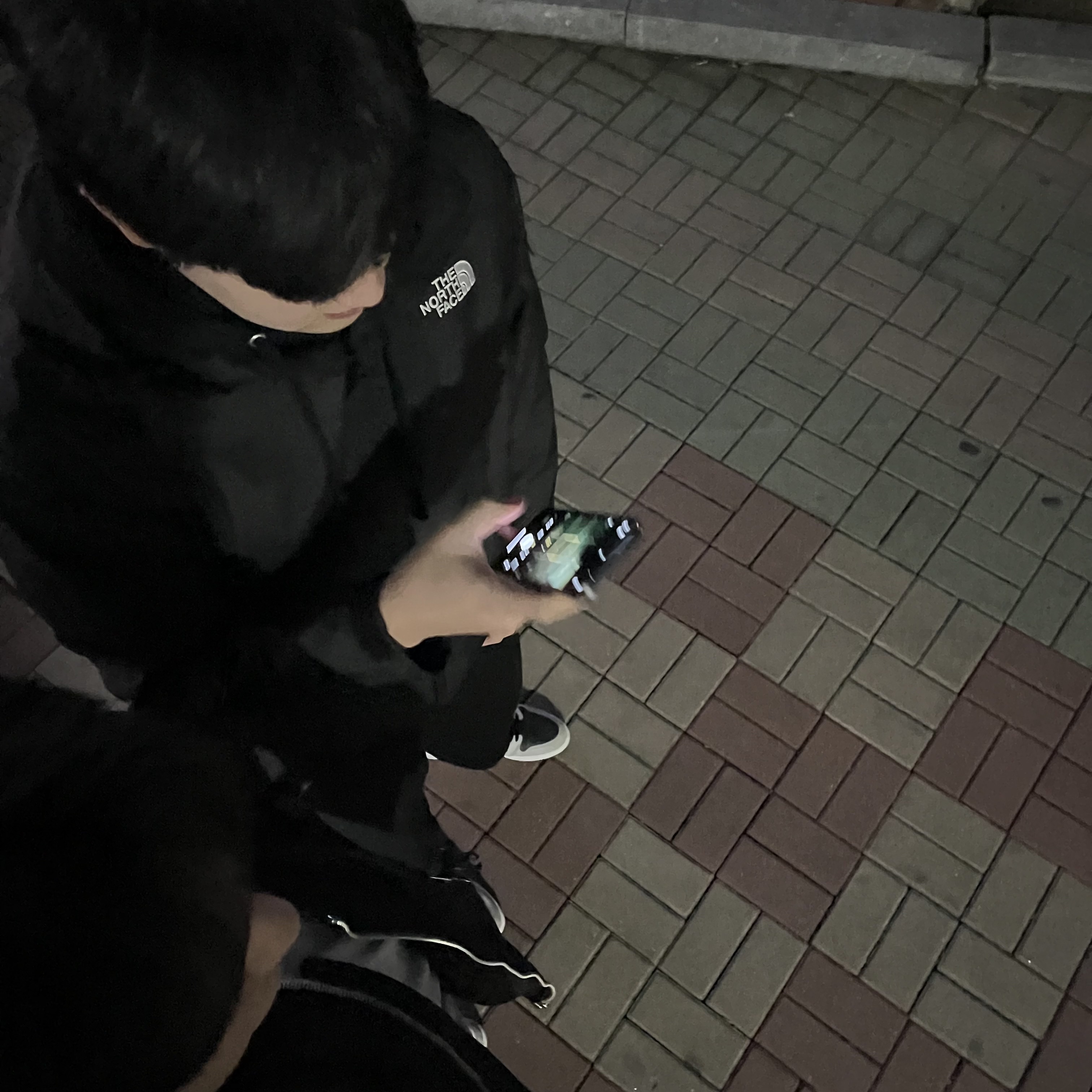 Jordan 1 Retro High OG Shadow 2.0, Anti Social Social Club x Fragment Precious Petals Hoodie Black Green 착용 스타일