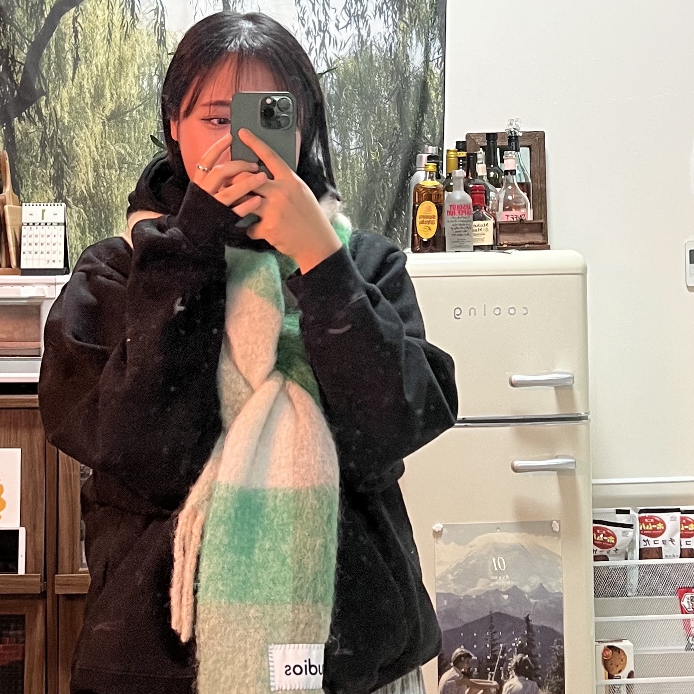 Acne Studios Mohair Check Muffler Green Grey 착용 스타일
