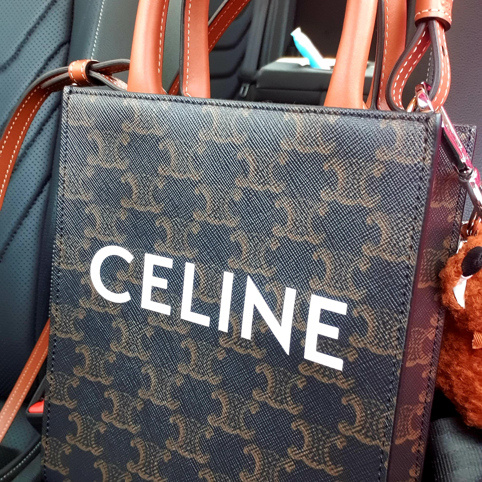 Celine Mini Vertical Cabas in Triomphe Canvas and Calfskin with Celine Print Tan 착용 스타일