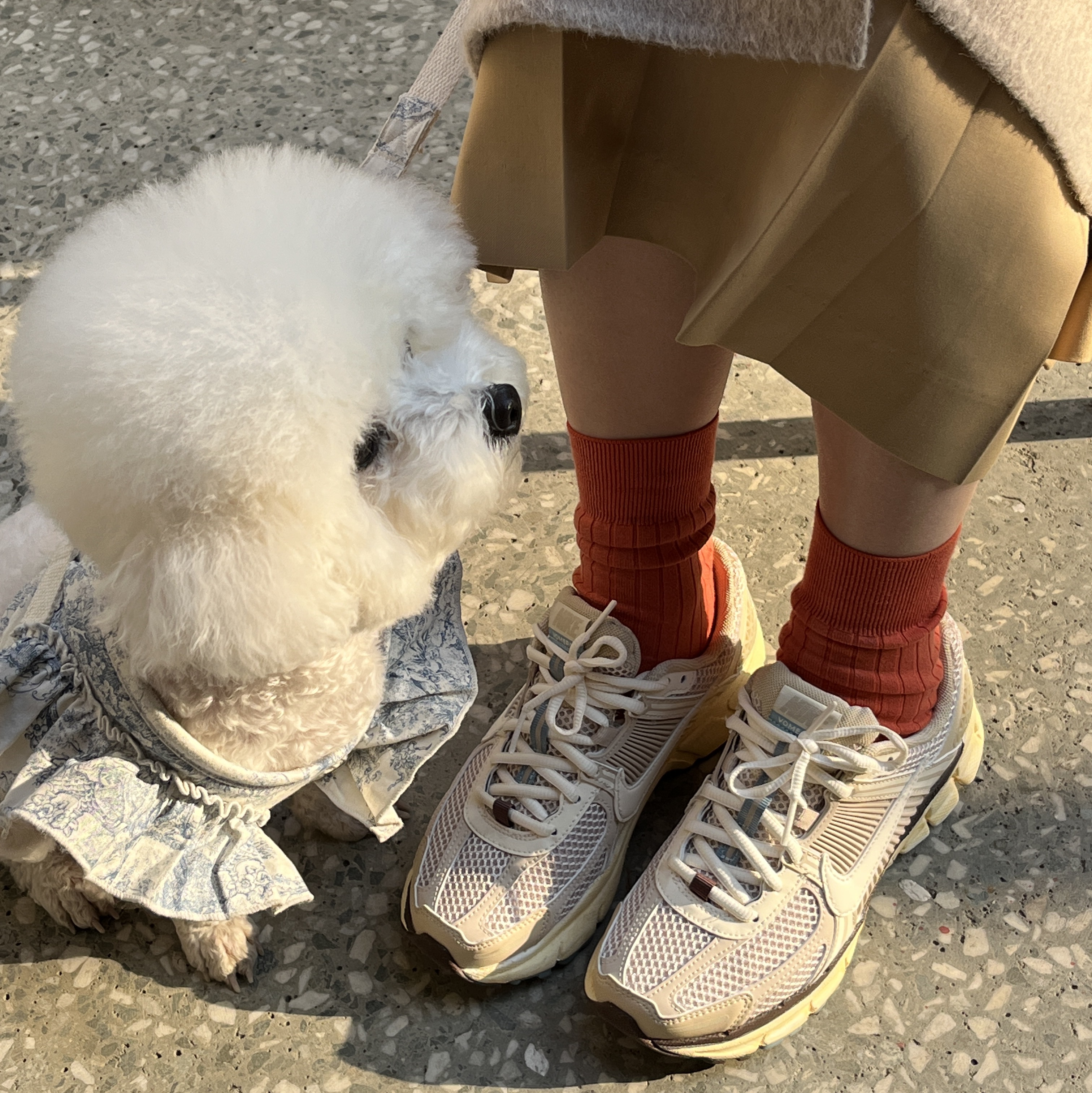 (W) Nike Zoom Vomero 5 Oatmeal 착용 스타일 - 2