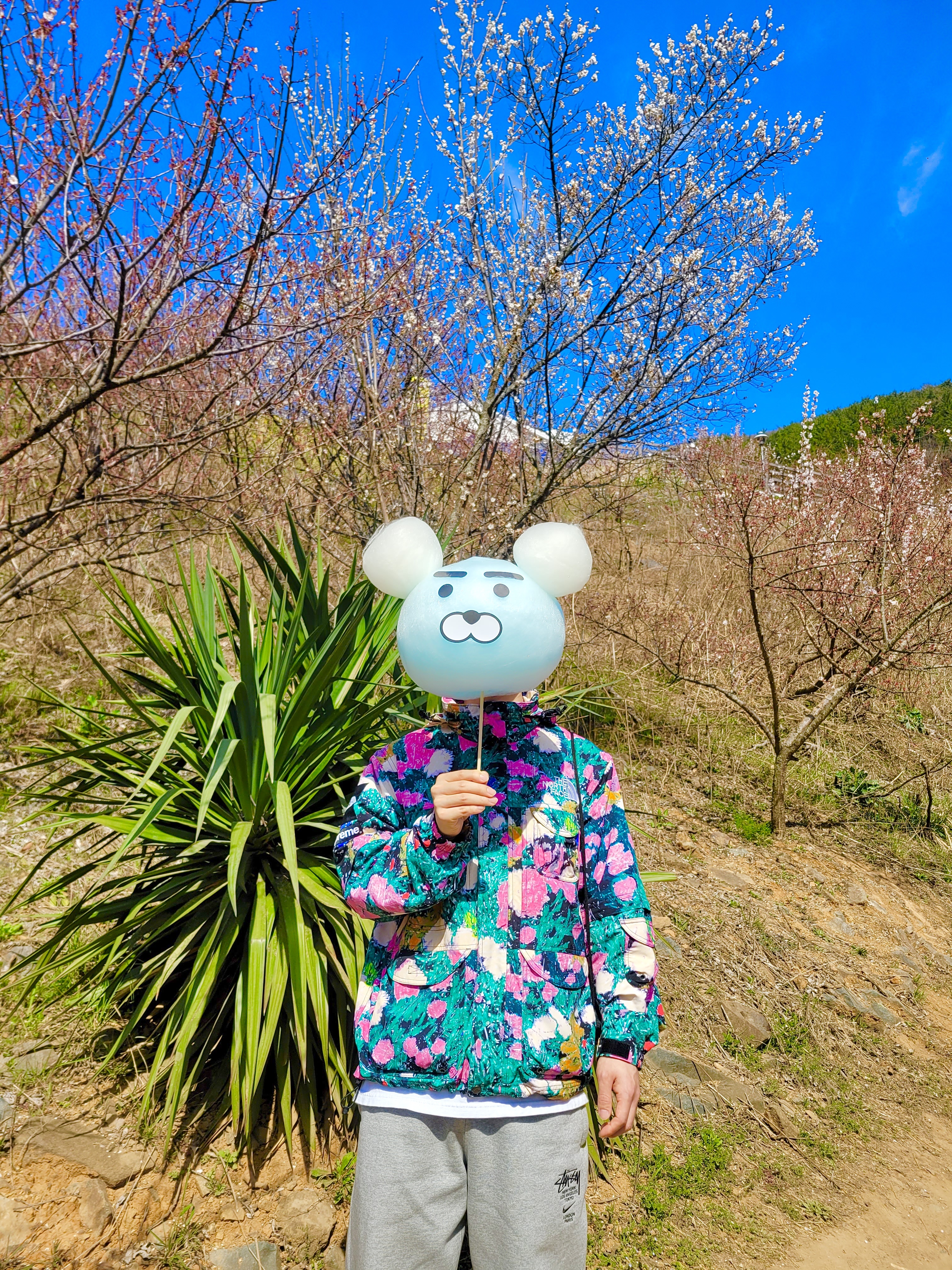 Supreme x The North Face Trekking Convertible Jacket Flowers - 22SS, Nike x Stussy NRG ZR Fleece Pants Heather Grey - US/EU 착용 스타일 - 1