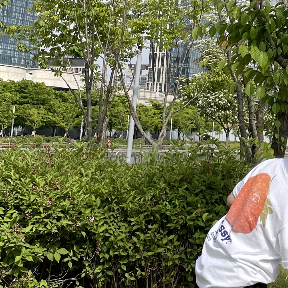 Stussy Strawberry T-Shirt White 착용 스타일