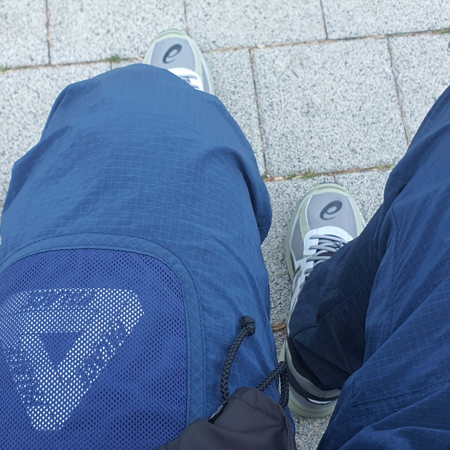 Asics Jog 100 S Sheet Rock - 2E Wide, Palace Cripstop Grid Joggers Navy - 22SS 착용 스타일
