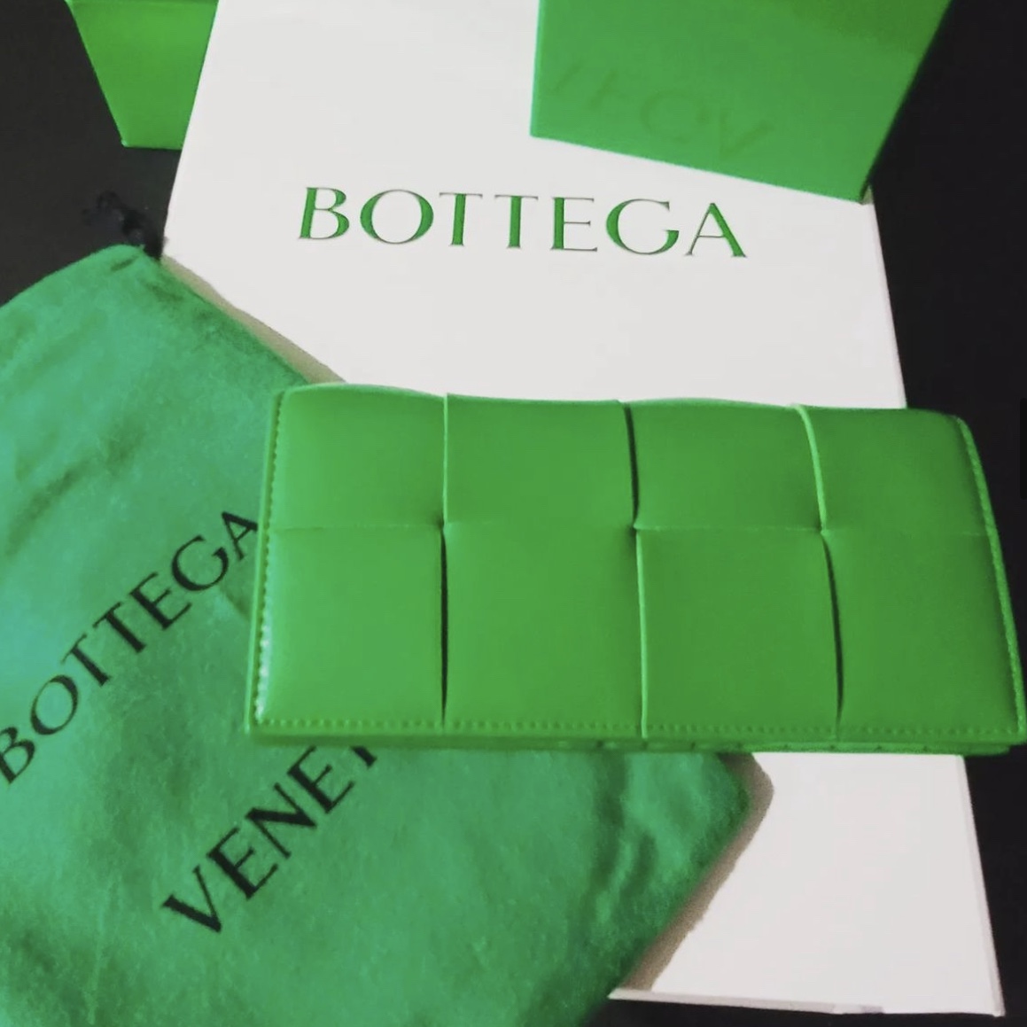 Bottega Veneta Flap Card Case Parakeet 착용 스타일 - 5