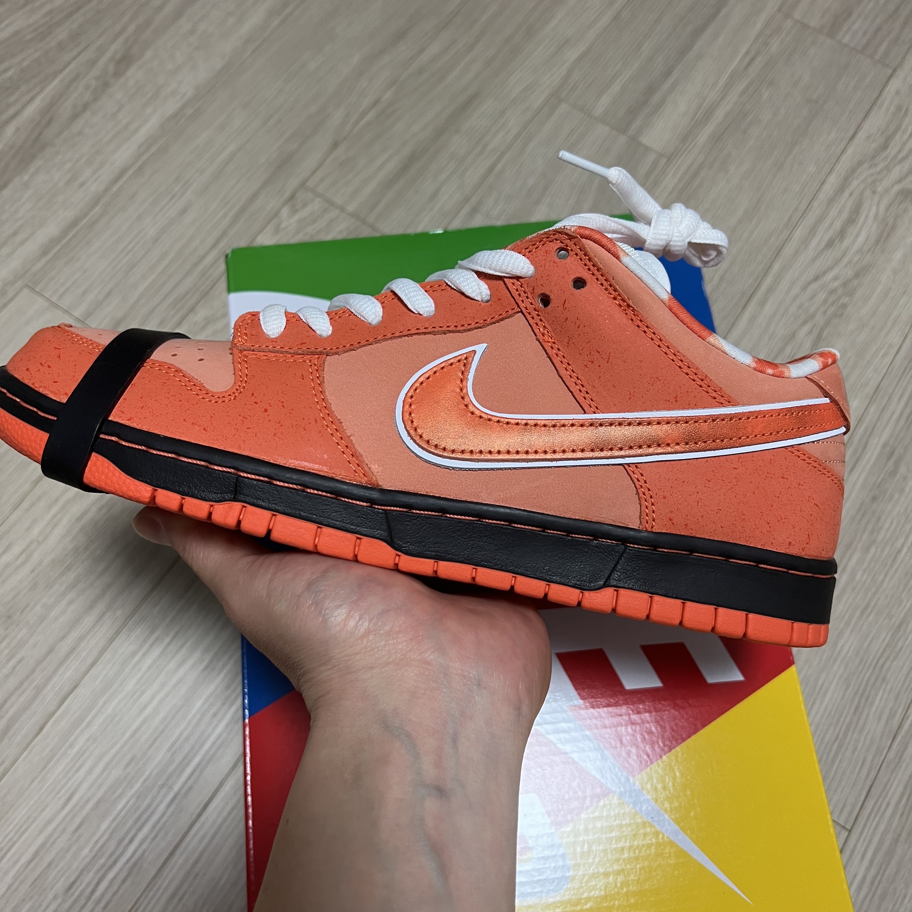 Nike x Concepts SB Dunk Low Orange Lobster (Regular Box) 착용 스타일