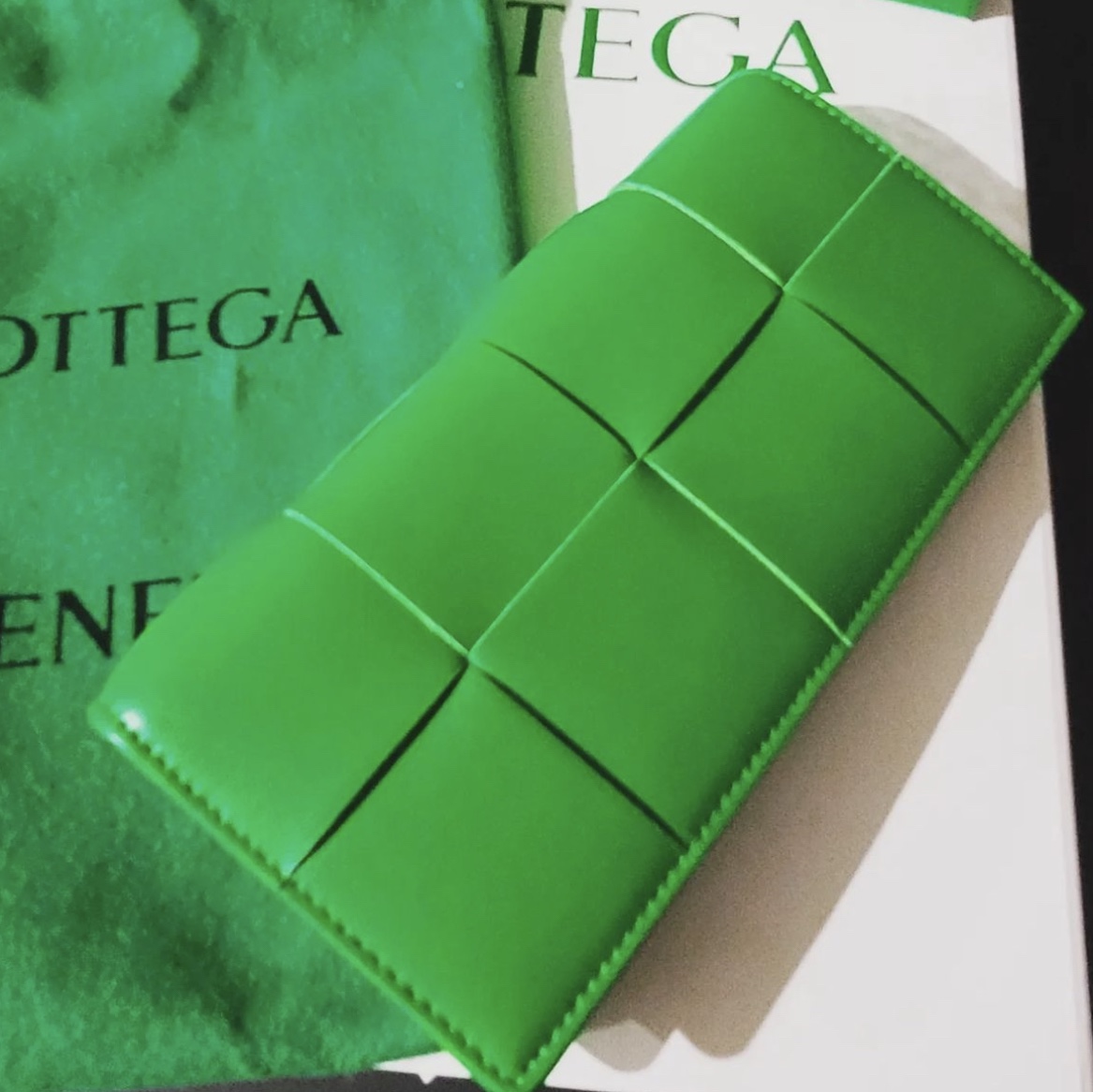 Bottega Veneta Flap Card Case Parakeet 착용 스타일 - 4